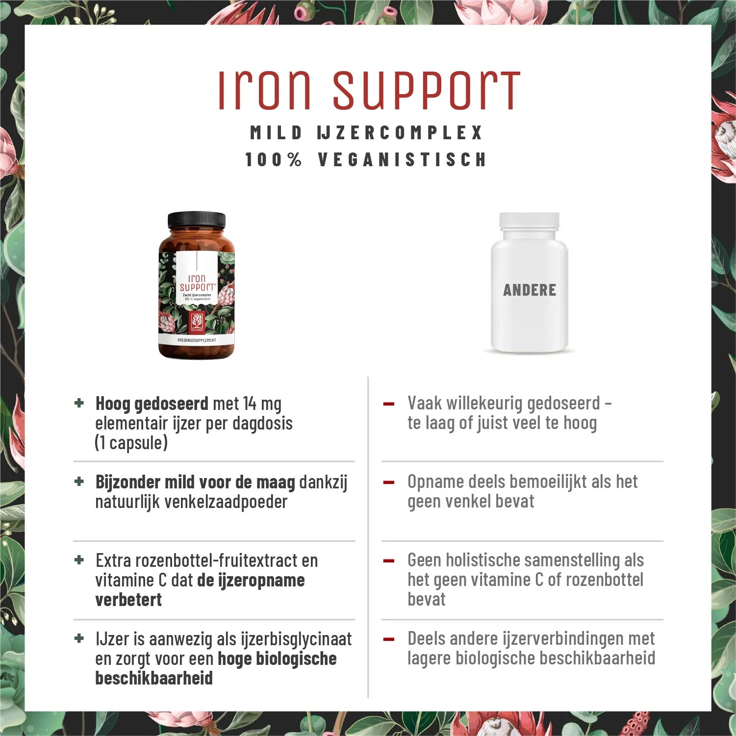 Iron Support: Ijzercomplex met venkel en cofactoren - Image 4