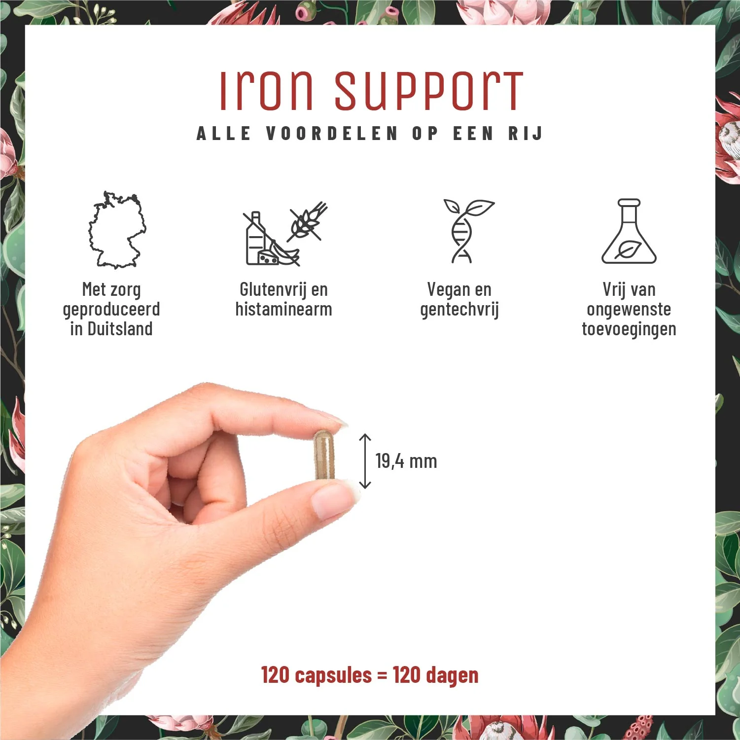 Iron Support: Ijzercomplex met venkel en cofactoren - Image 6