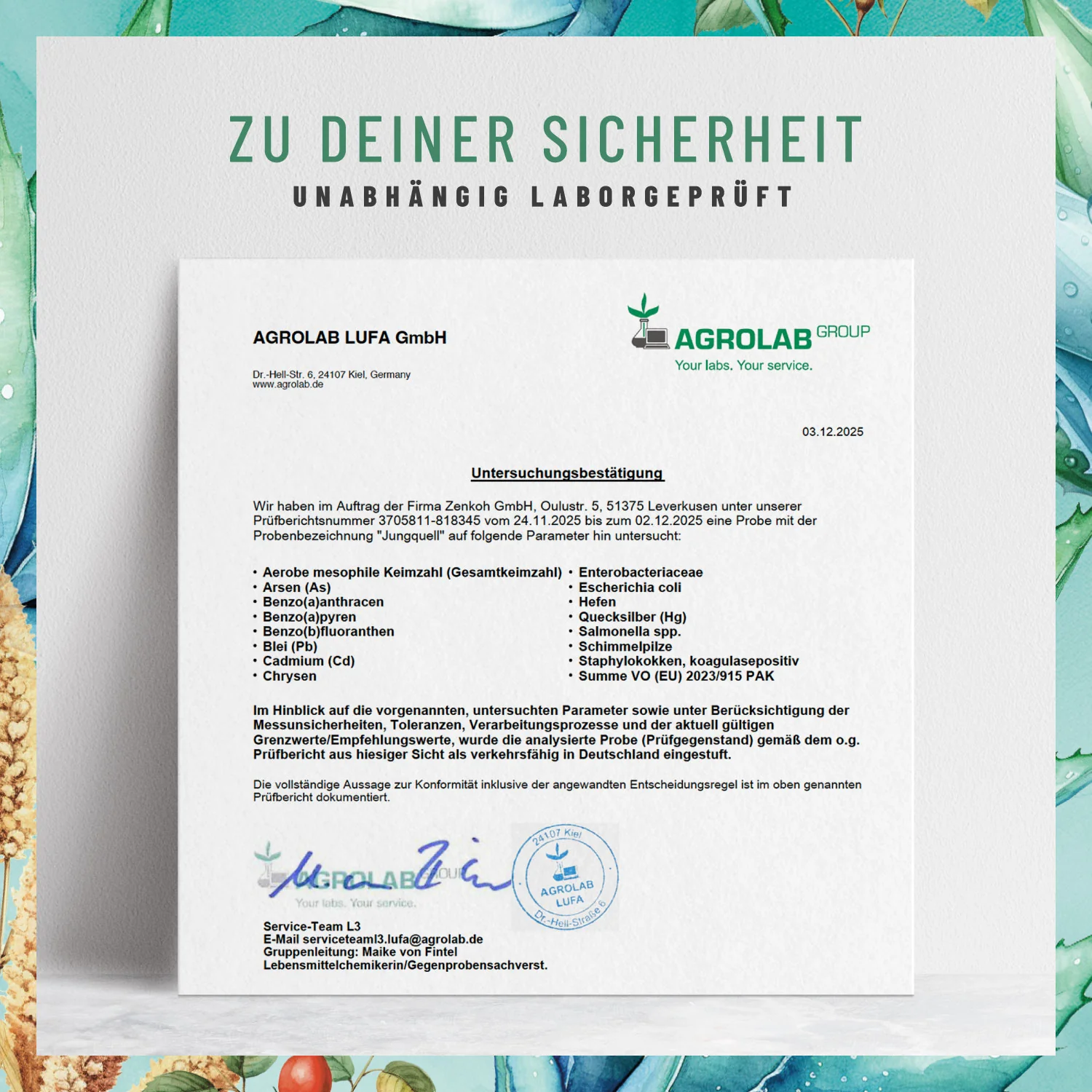Jungquell: Hyaluronsäure, Aloe Vera, Hagebutte & Biotin - Image 10