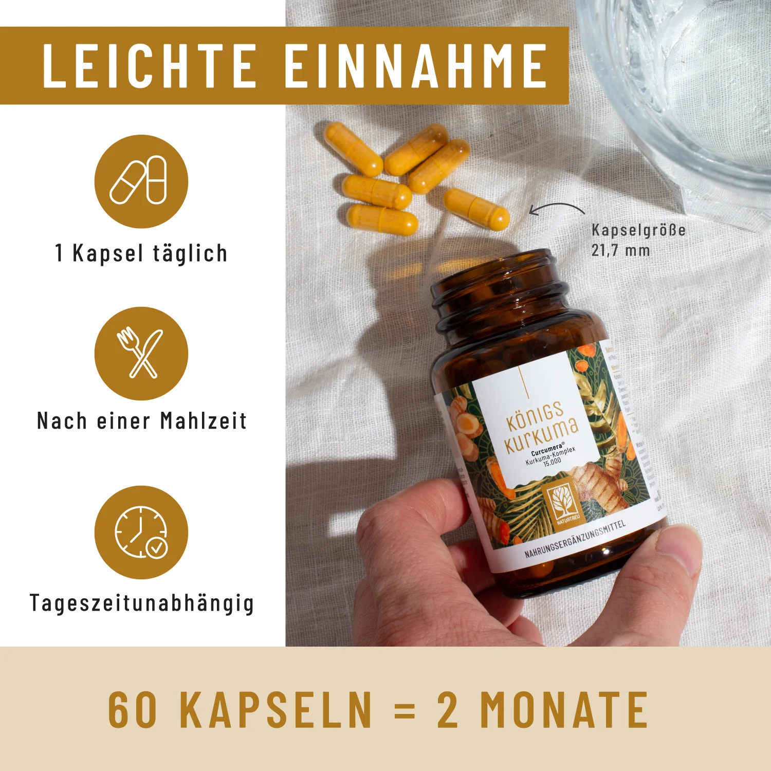 Königskurkuma: Curcuma Komplex - Image 5