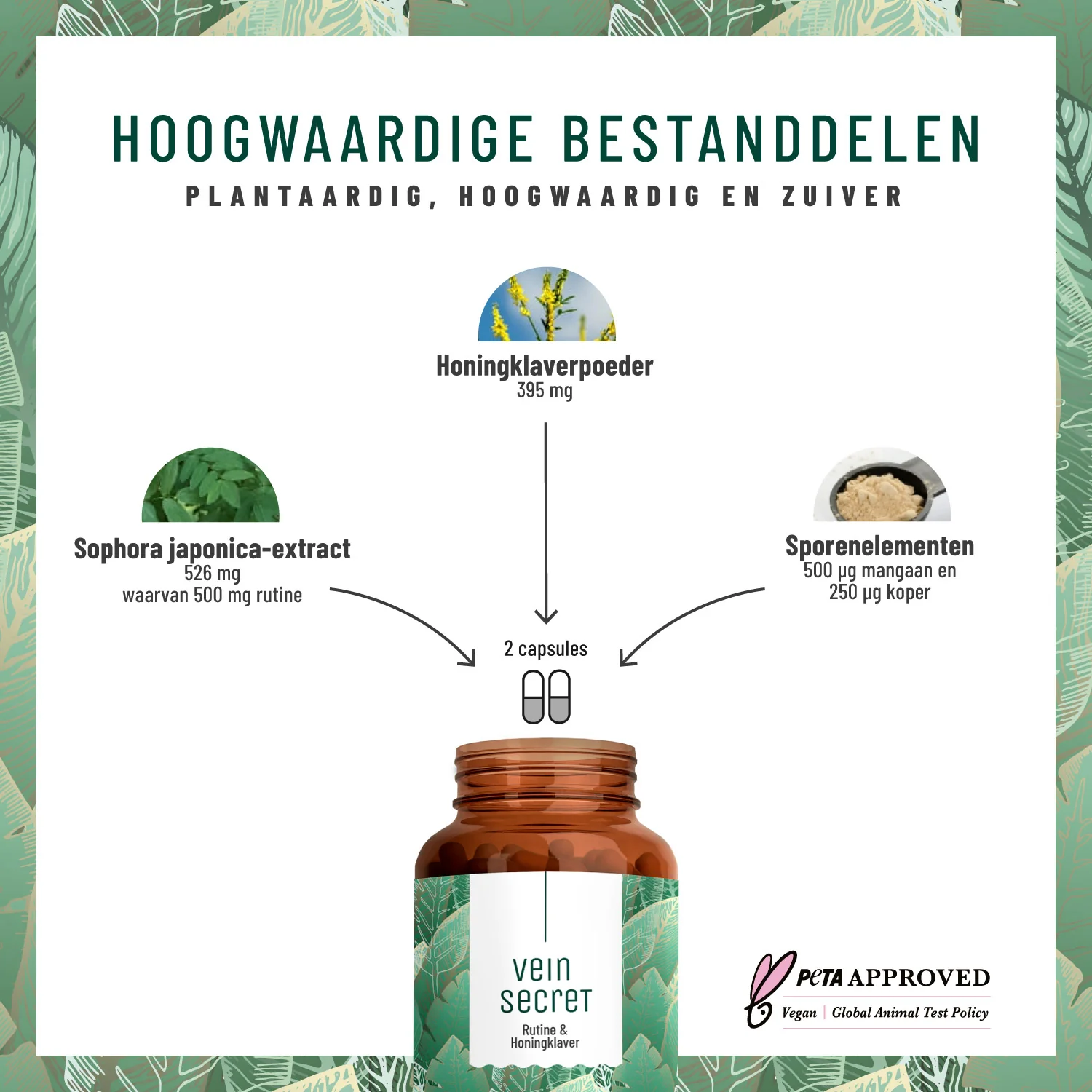 Vein Secret: Rutine en honingklavercomplex - Image 2