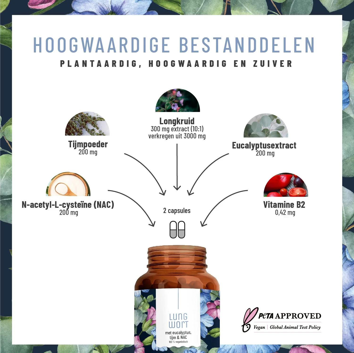 Lung Wort: Met eucalyptus, tijm en NAC - Image 2