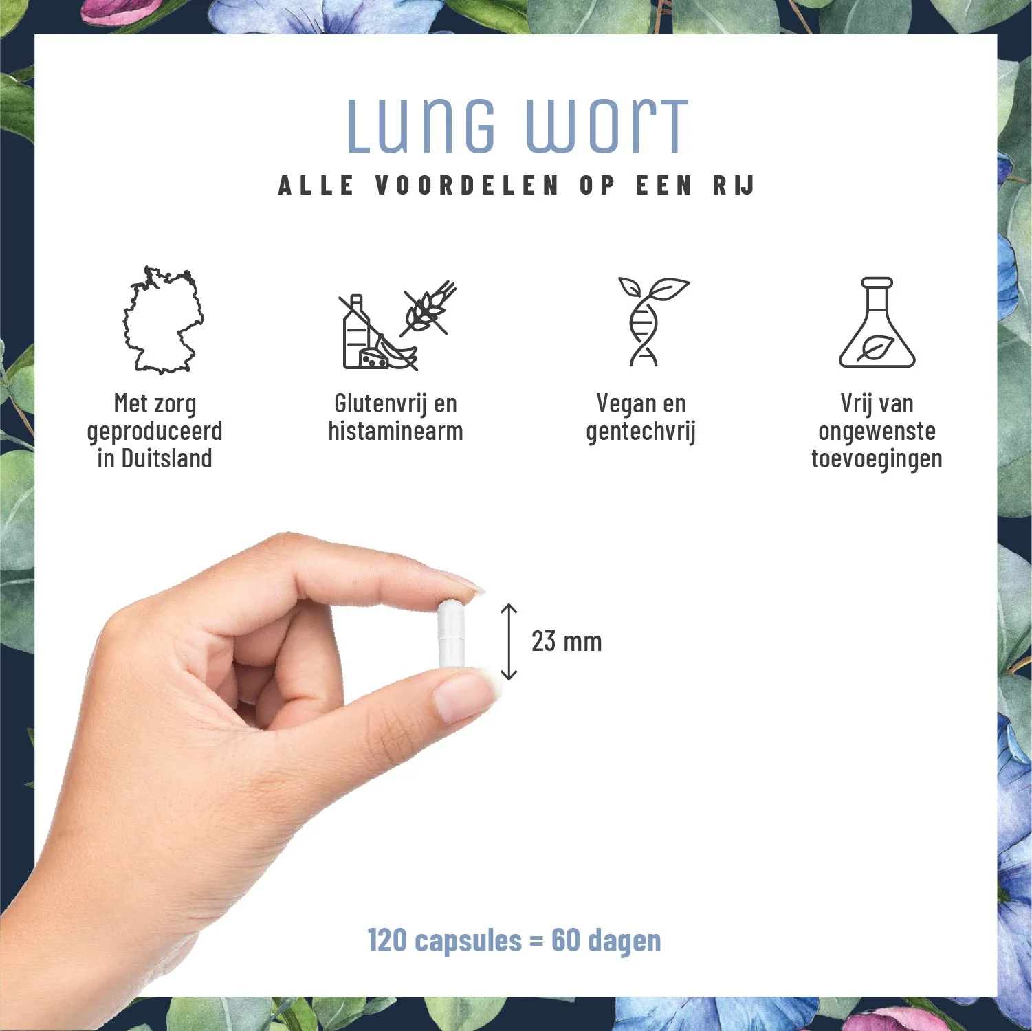 Lung Wort: Met eucalyptus, tijm en NAC - Image 6