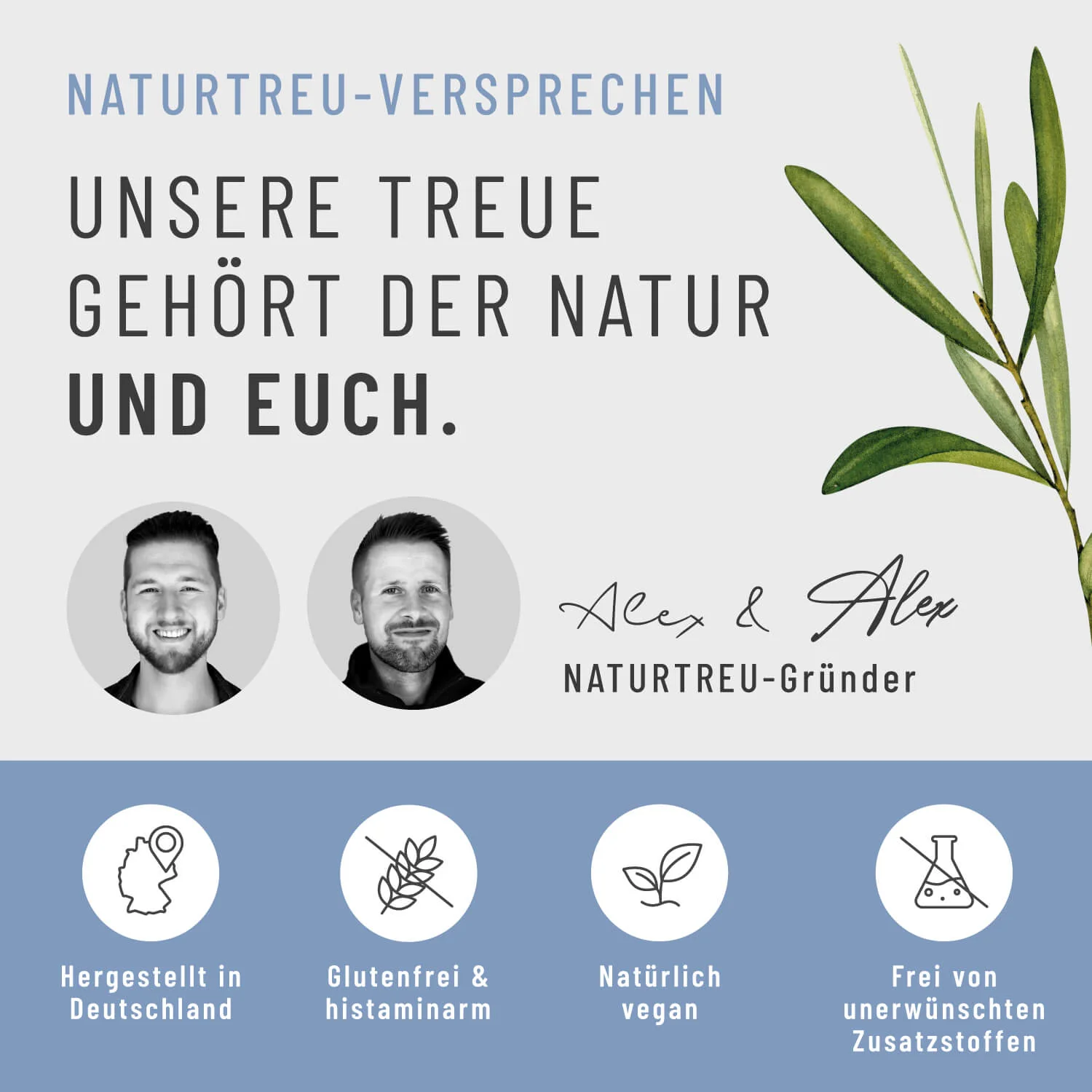 Lungenkraut: Mit Eukalyptus, Thymian & NAC - Image 8
