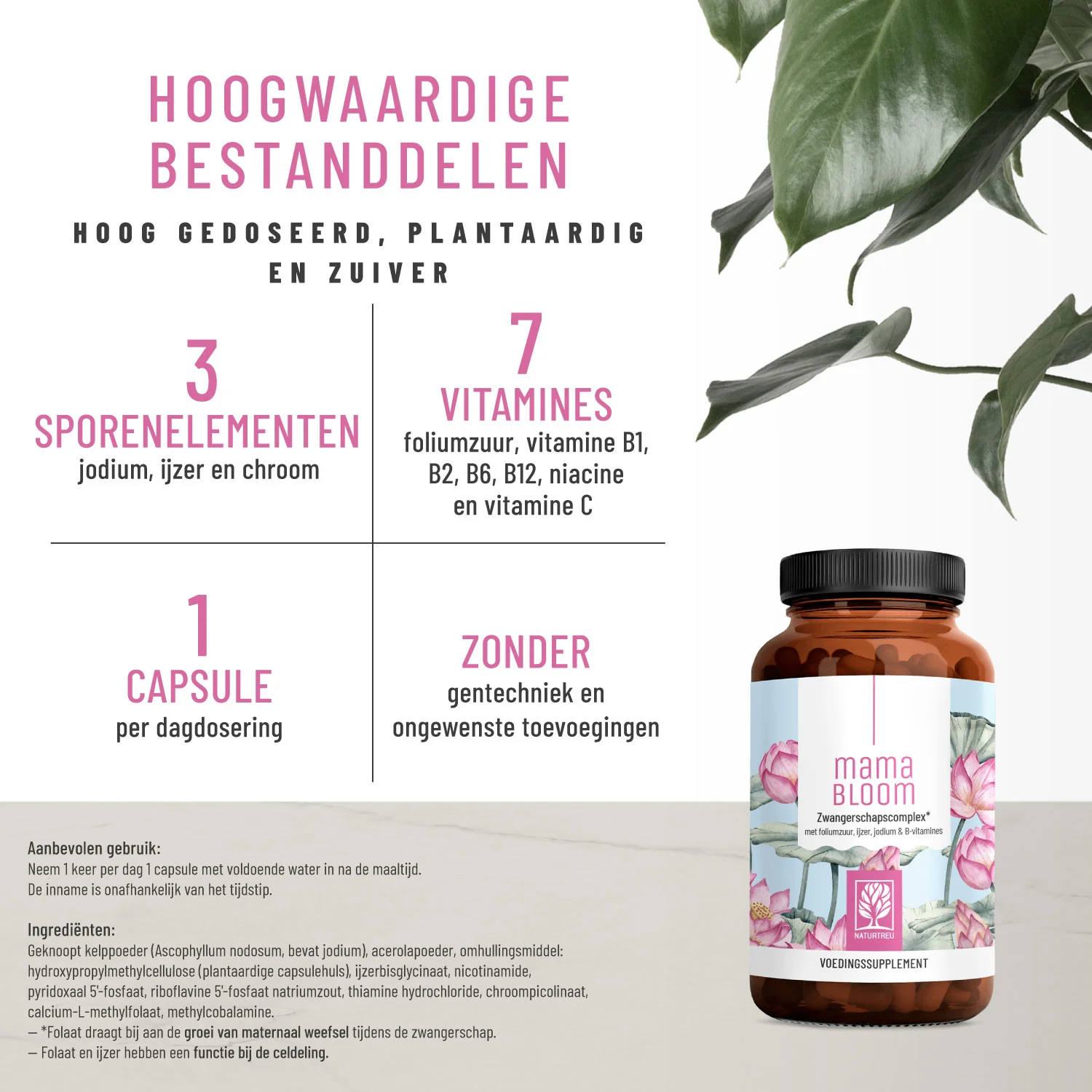 Mama Bloom: Zwangerschapscomplex met foliumzuur, ijzer, jodium & B-vitamines - Image 2