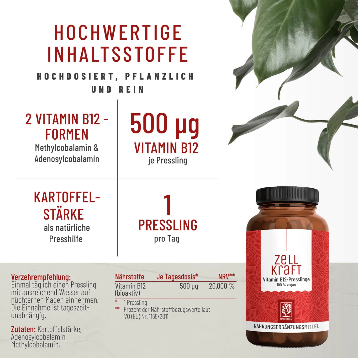 Mamawunsch-Paket: Vitamin B12 & Folsäure - Image 3
