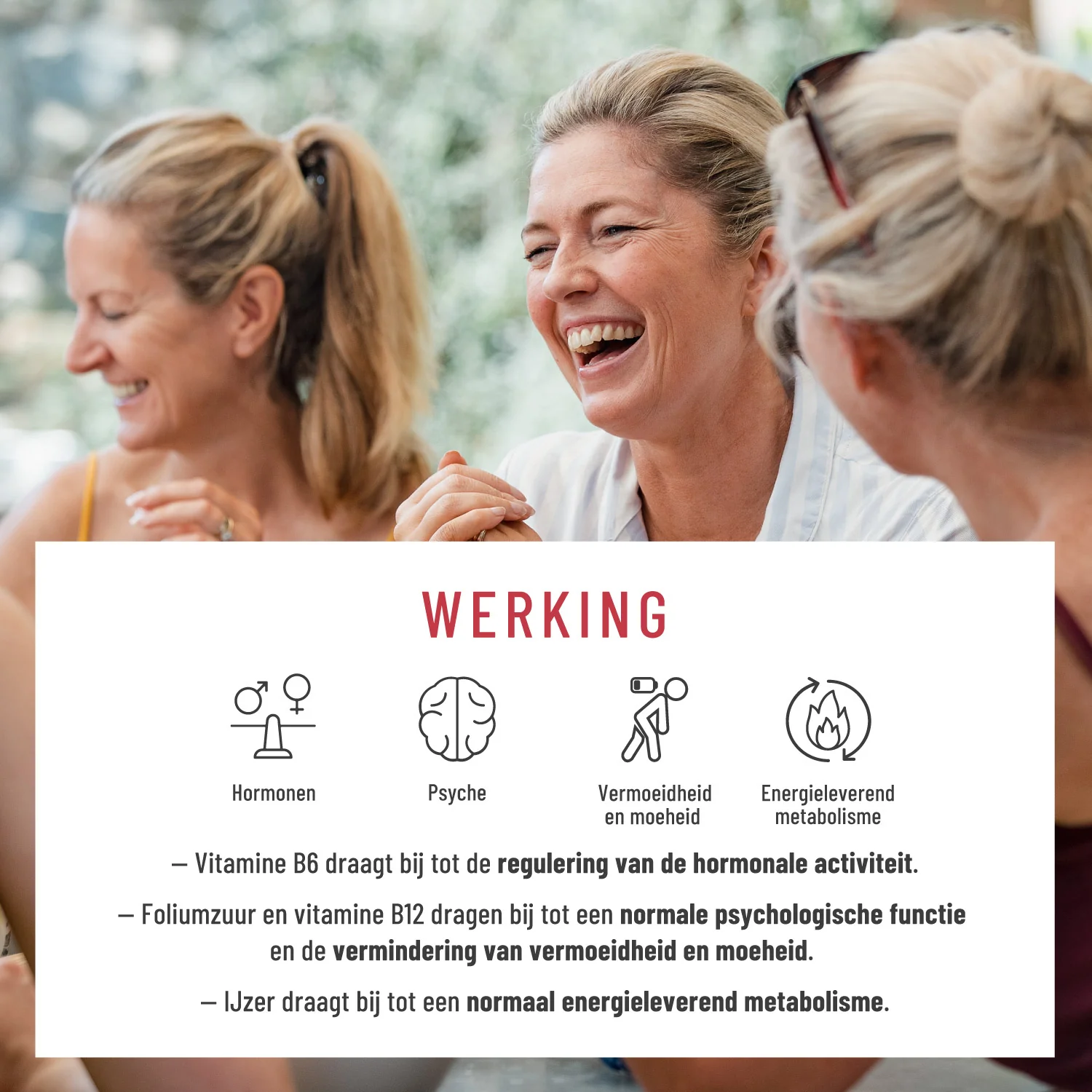 Meno Miracle: Menopauzecomplex met yam en rode klaver - Image 3
