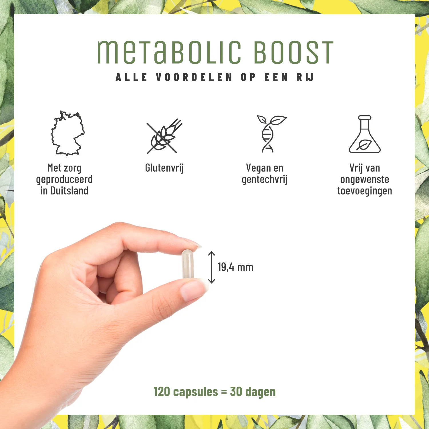 Metabolic Boost: Metabolismecomplex voor de stofwisseling* en de bloedsuikerspiegel** - Image 6