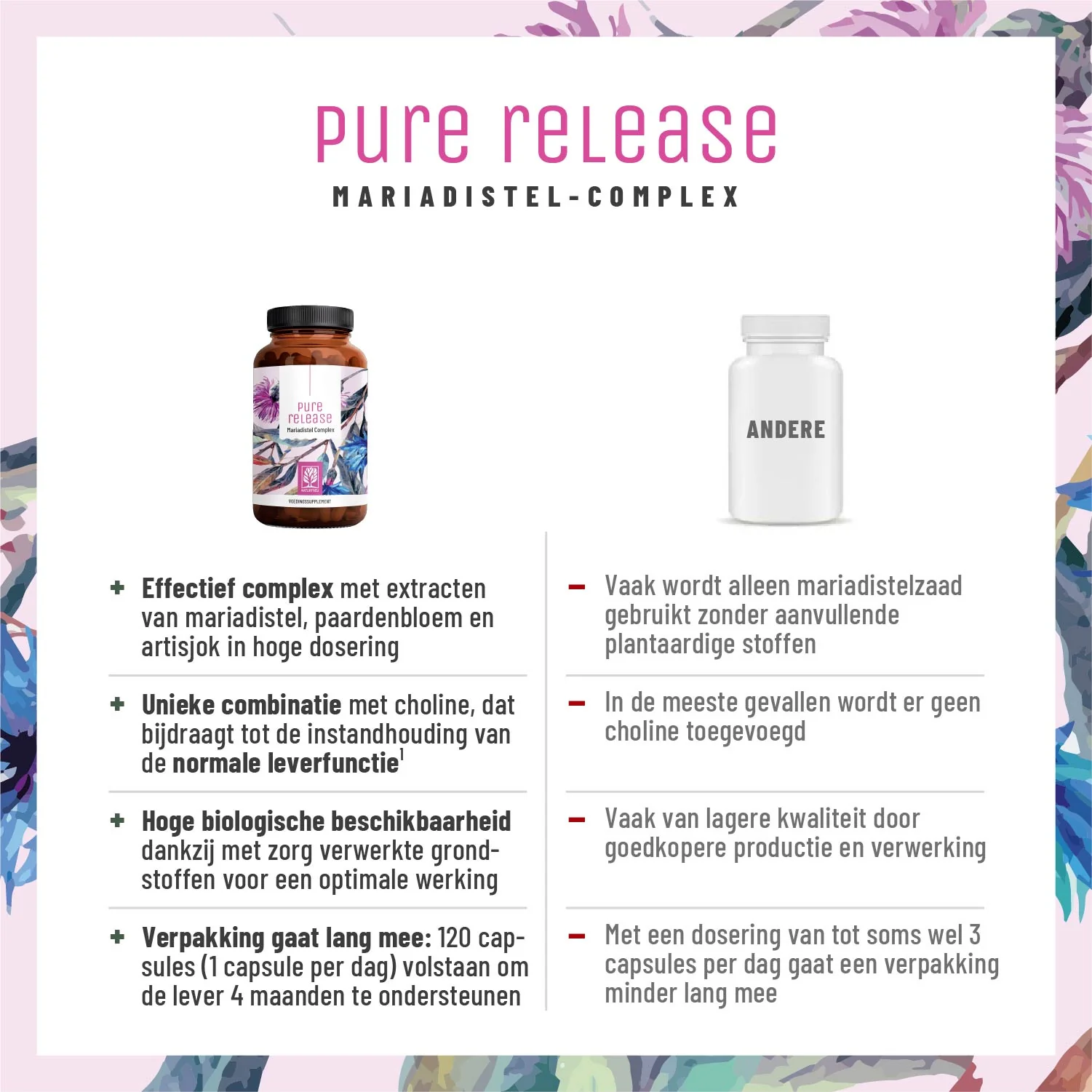 Metabolic Support Bundle: Mariadistel- & stofwisselings complex - Image 4
