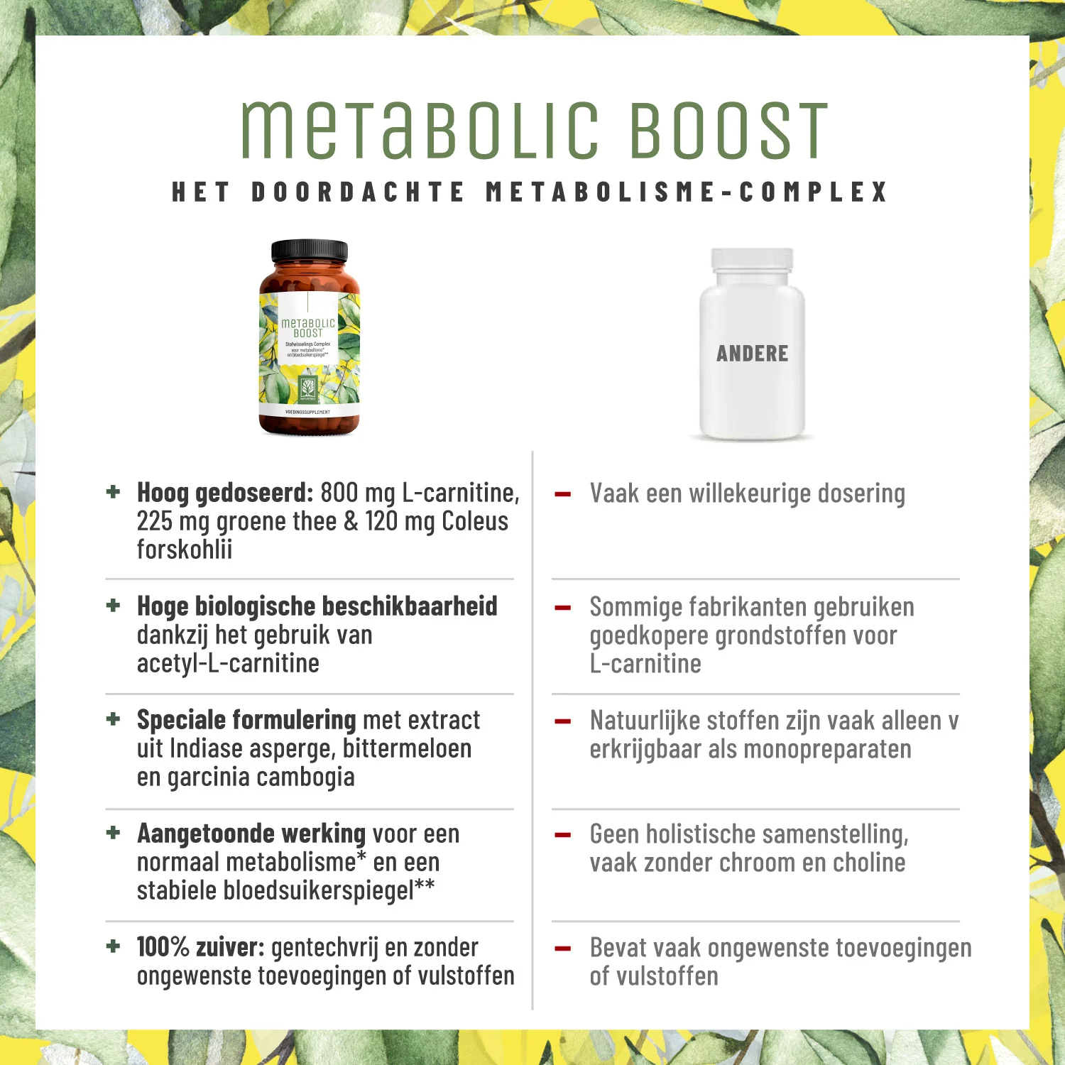 Metabolic Support Bundle: Mariadistel- & stofwisselings complex - Image 5