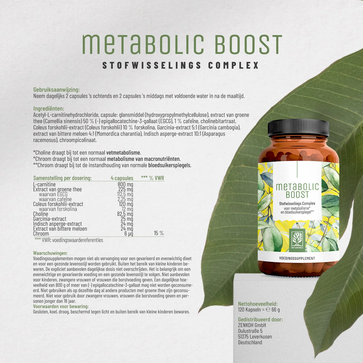Metabolic Support Bundle: Mariadistel- & stofwisselings complex - Image 8