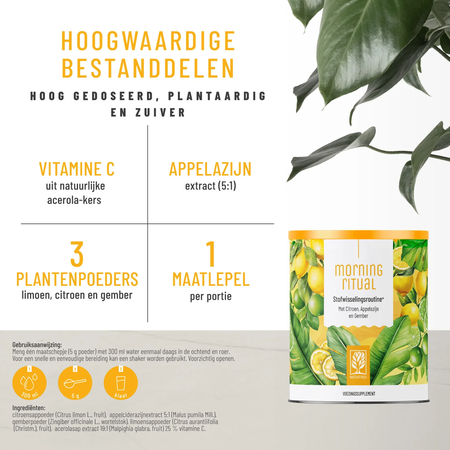 Morning Ritual: Ochtendroutine voor je stofwisseling* - Image 2
