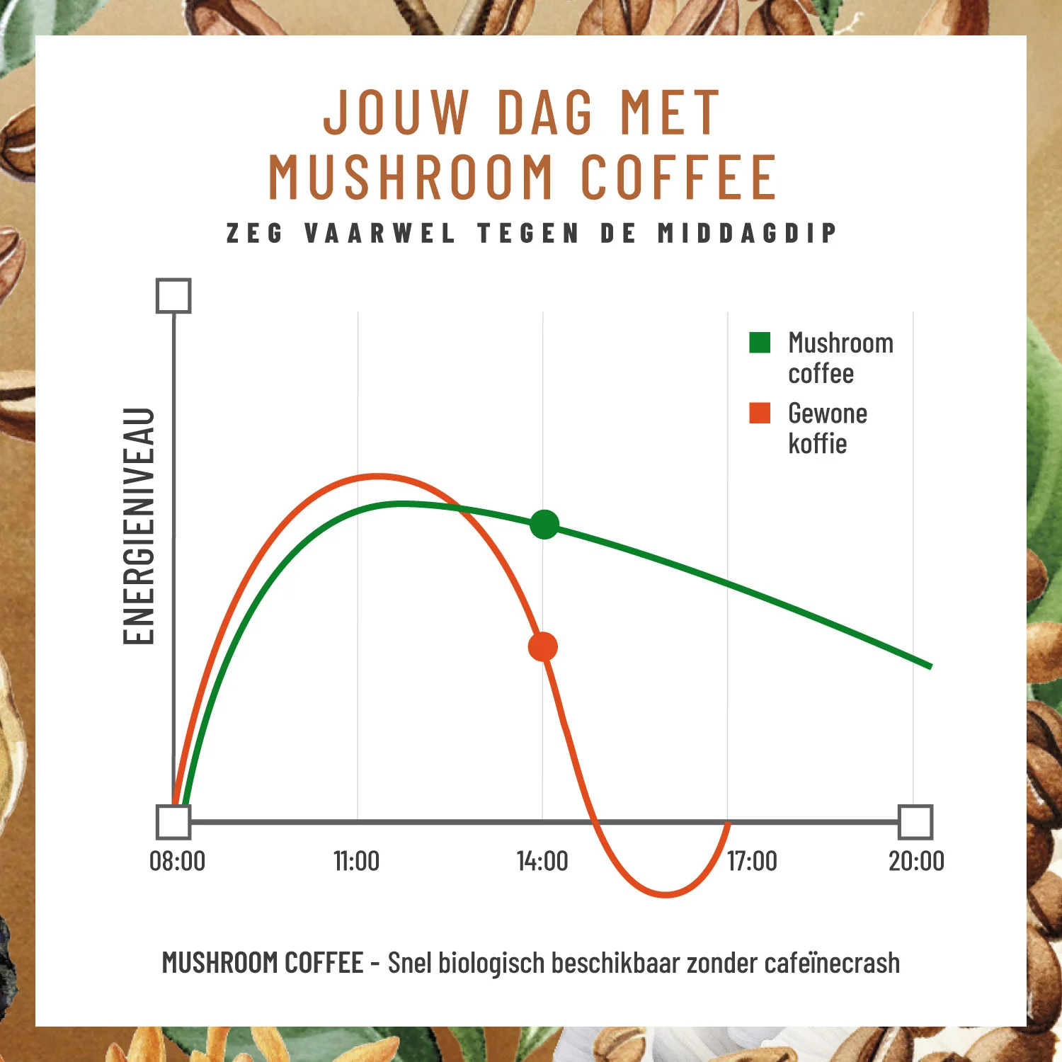 Mushroom Coffee met lion´s mane, chaga, reishi & cordyceps - Image 6