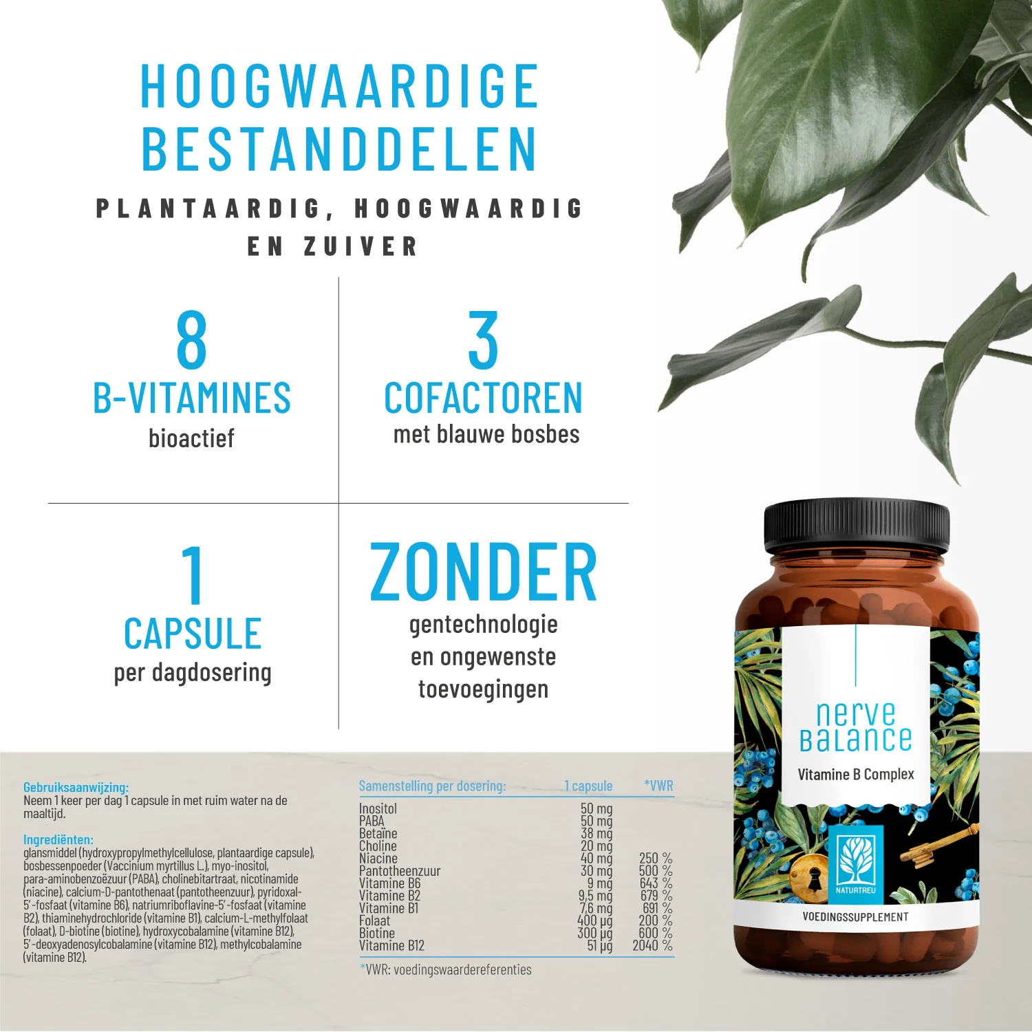 Nerve Balance: Hoog gedoseerd vitamine b-complex - Image 2