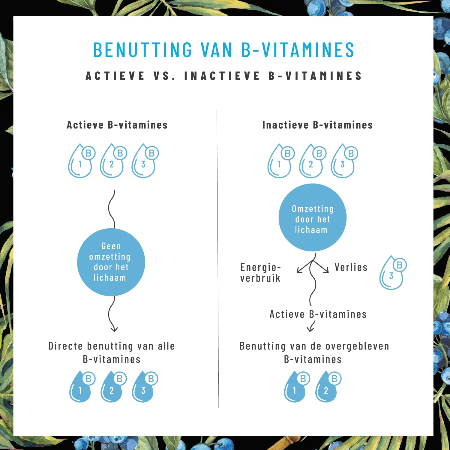 Nerve Balance: Hoog gedoseerd vitamine b-complex - Image 4