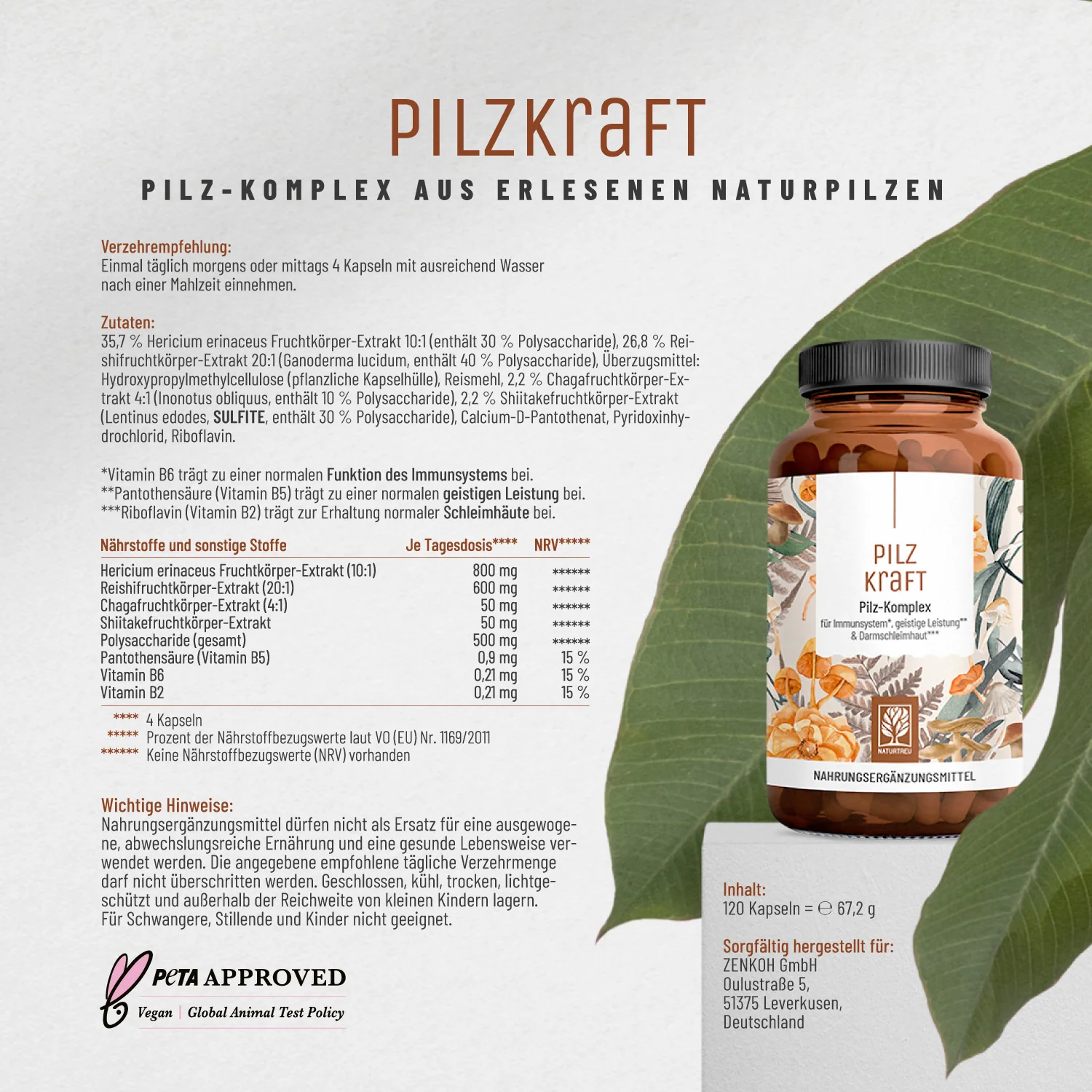 Pilzkraft: Reishi, Shiitake, Chaga & Löwenmähne  - Image 10