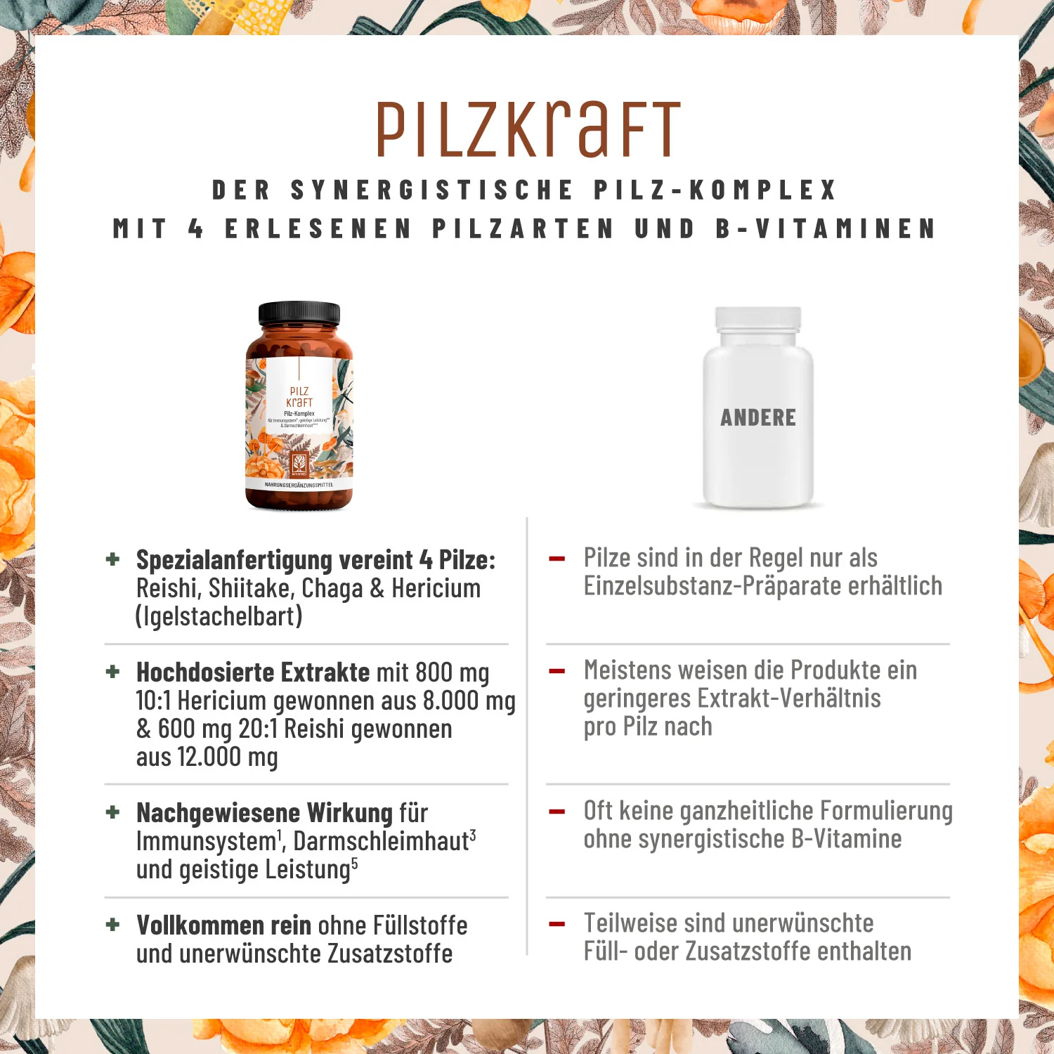 Pilzkraft: Reishi, Shiitake, Chaga & Löwenmähne  - Image 5