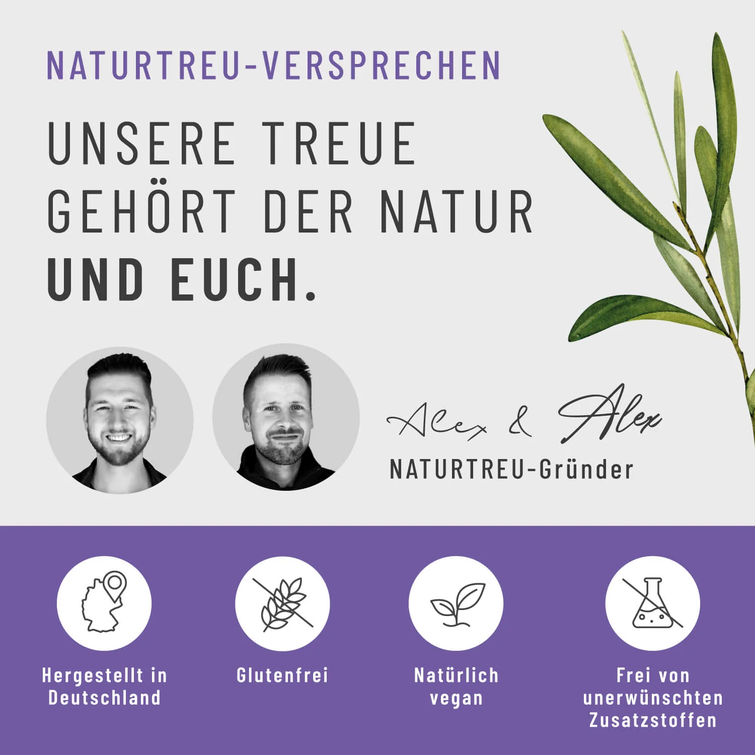Porenpoesie: Haut-Komplex* mit Bakterienstämmen, Zink, Niacin & Biotin - Image 9
