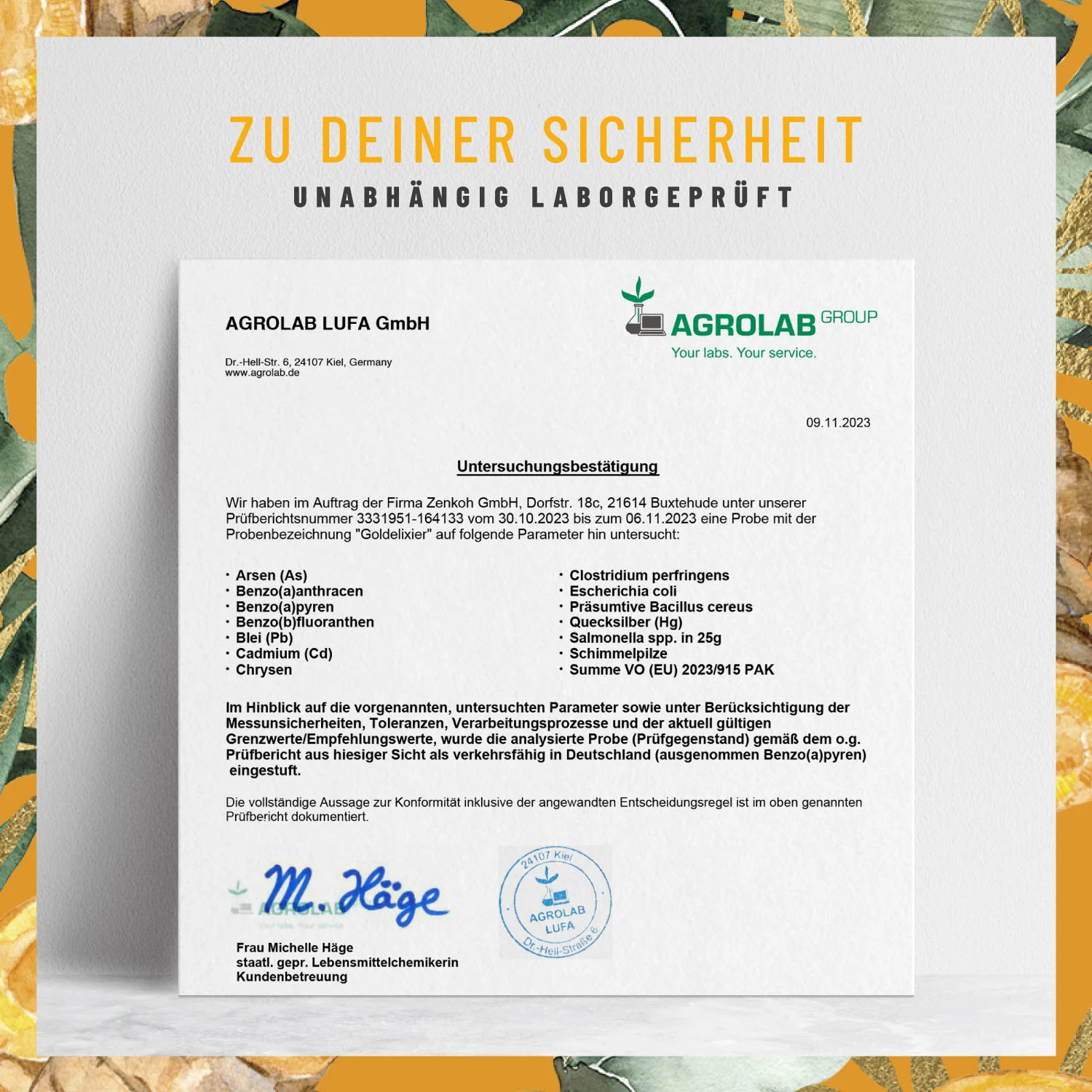 Probe: Goldelixier Goldene Milch mit Kurkuma, Zimt, uvm. - Image 3