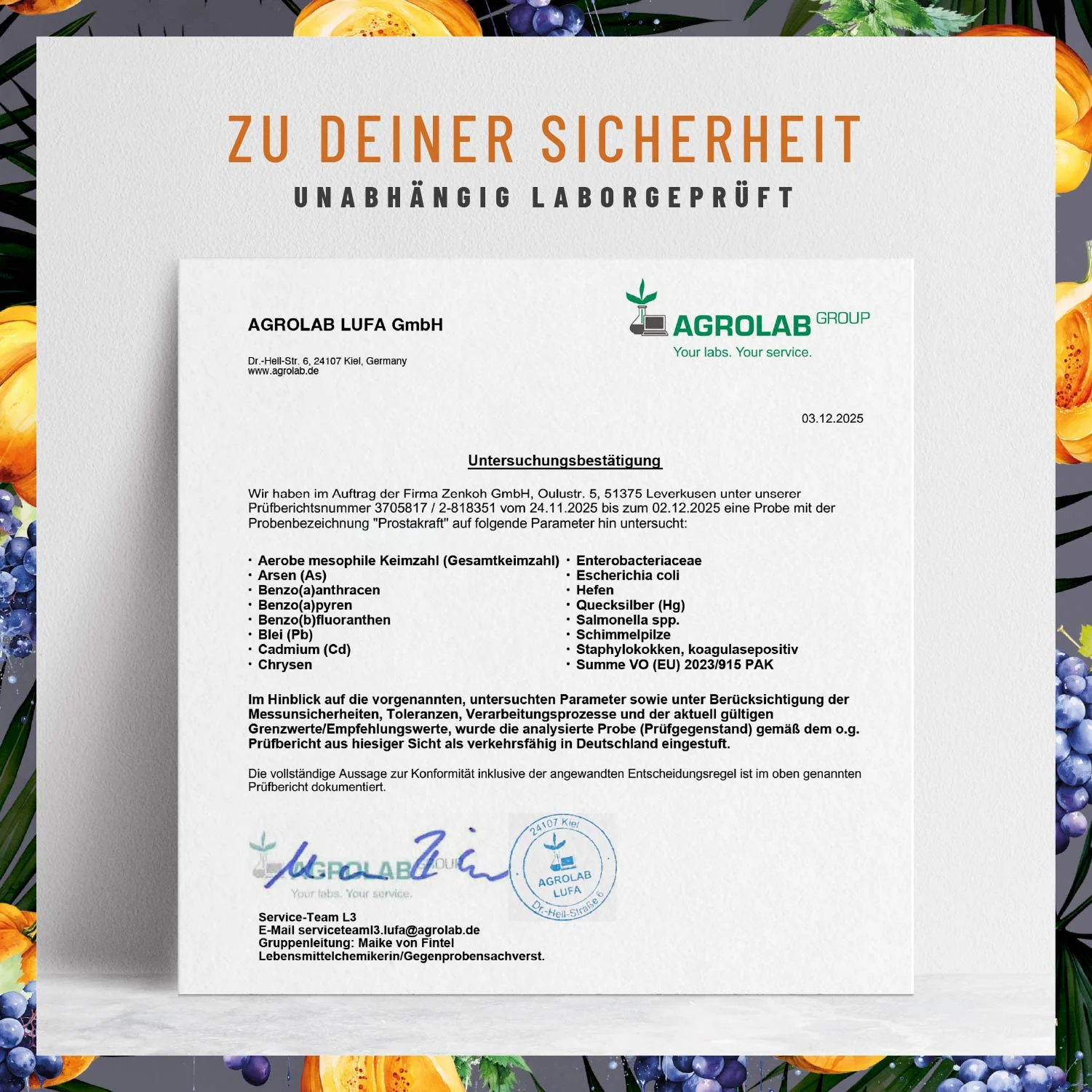Prostakraft: Sägepalmen-Komplex mit Kürbis, Traubenkern, Brennnessel, Vitamin E, Zink & Selen - Image 8
