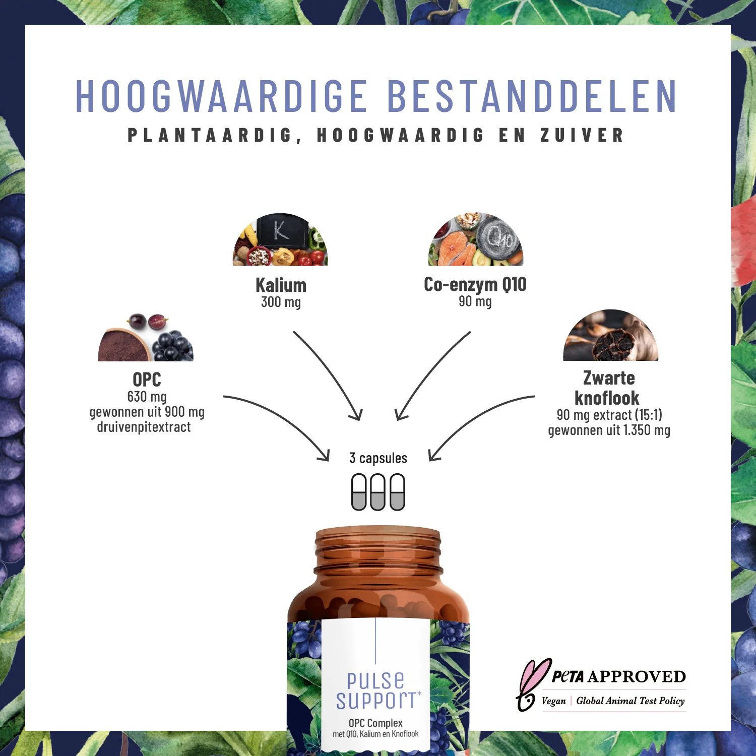 Pulse Support: Opc-complex met Q10, kalium en knoflook - Image 2
