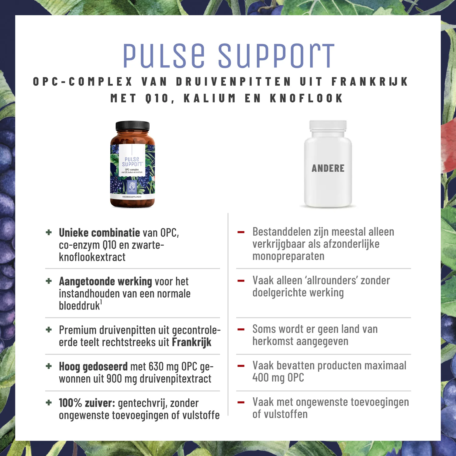 Pulse Support: Opc-complex met Q10, kalium en knoflook - Image 4