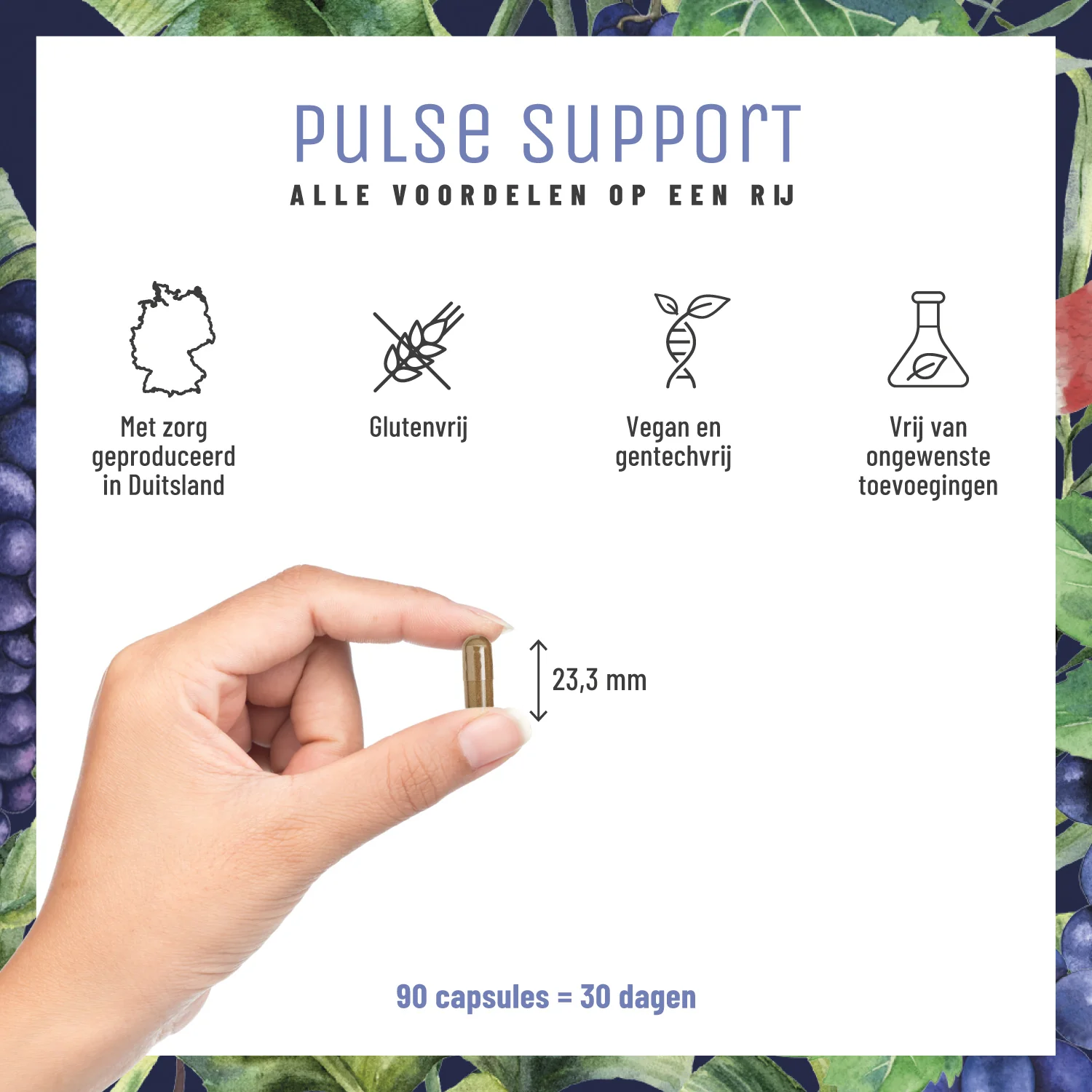 Pulse Support: Opc-complex met Q10, kalium en knoflook - Image 6