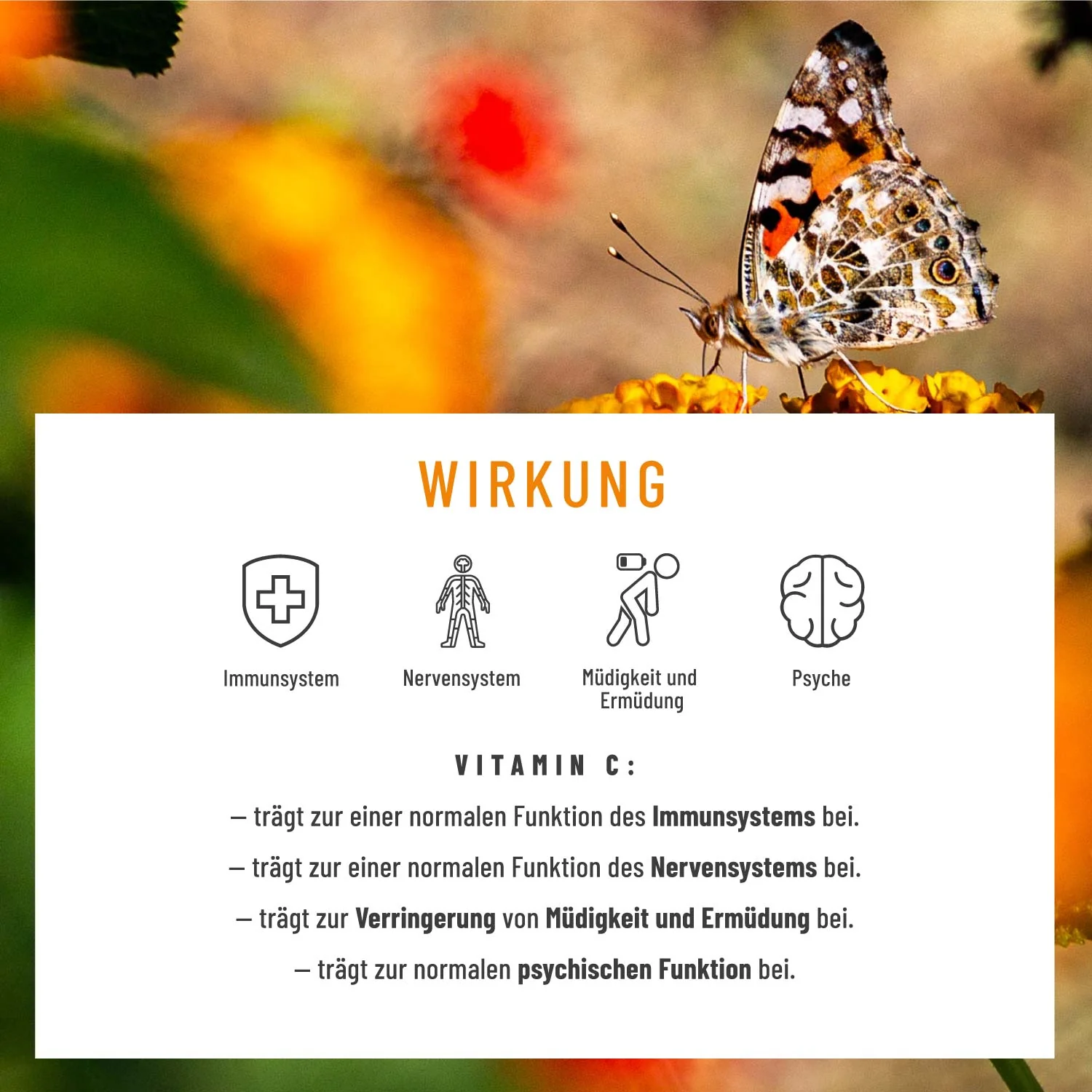 Blütezeit: Quercetin-Komplex mit Bromelain & Vitamin C - Image 4