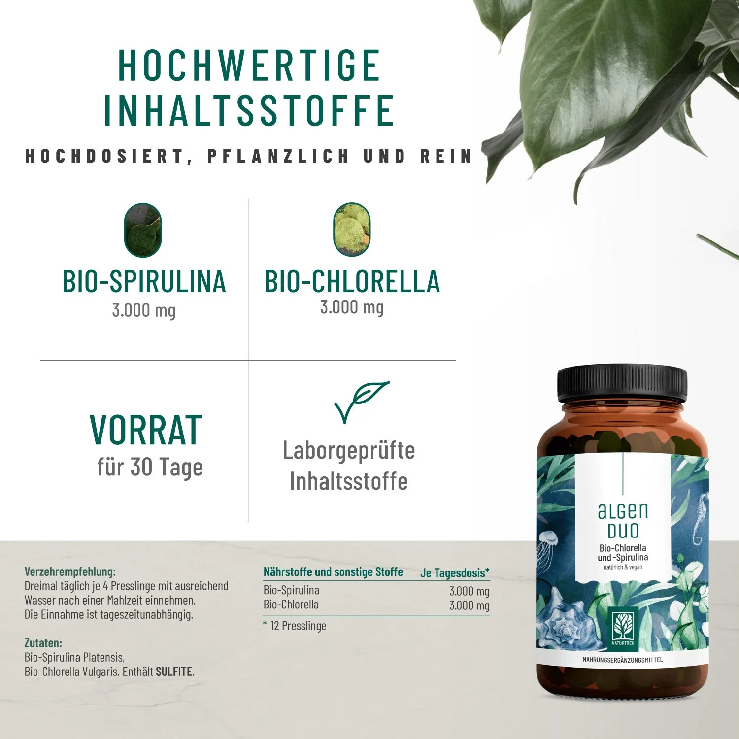Reingefühl-Paket: Bio-Chlorella & -Spirulina, MSM & Schwarzkümmelöl - Image 2