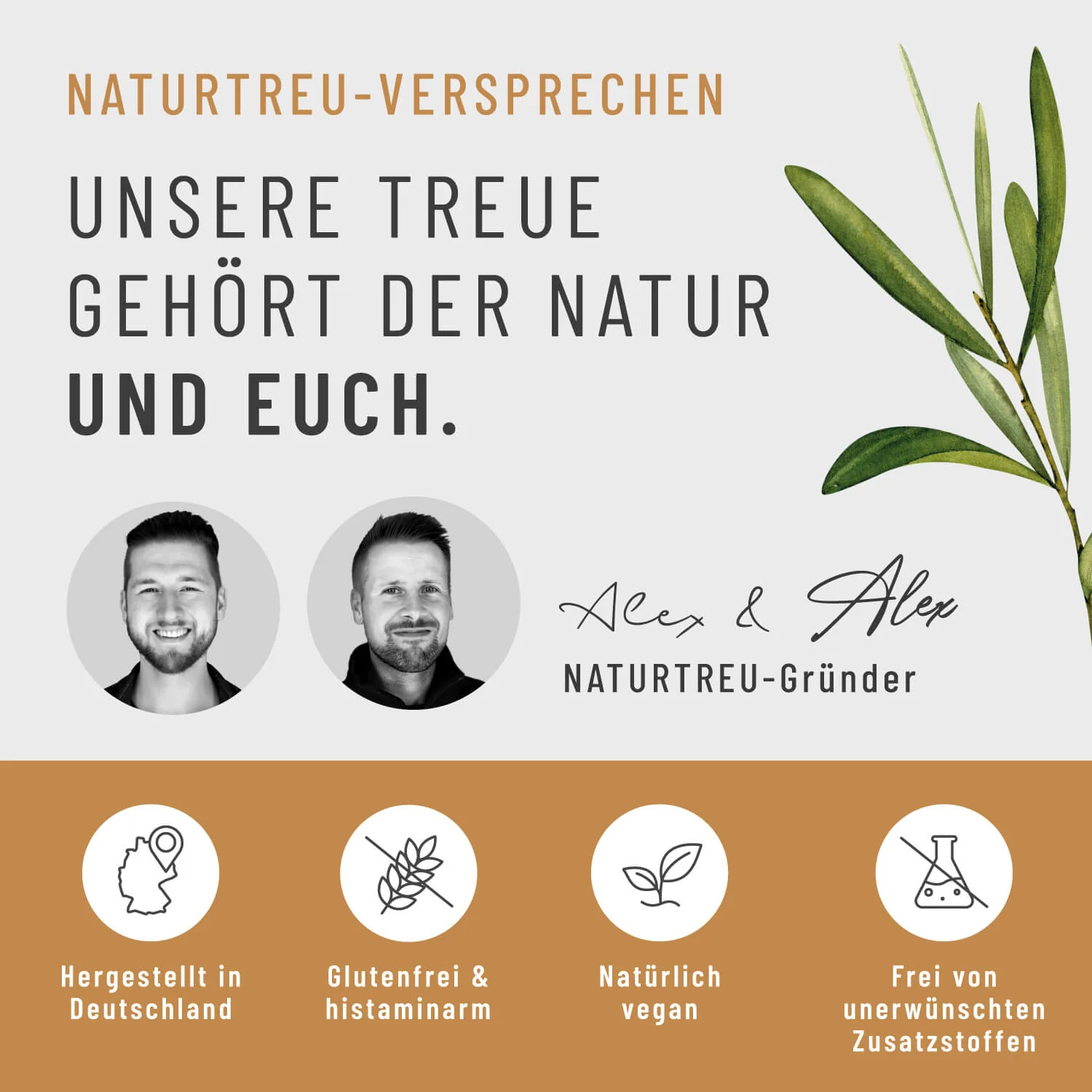 Ruhewurzel: Ashwagandha mit KSM-66® - Image 8