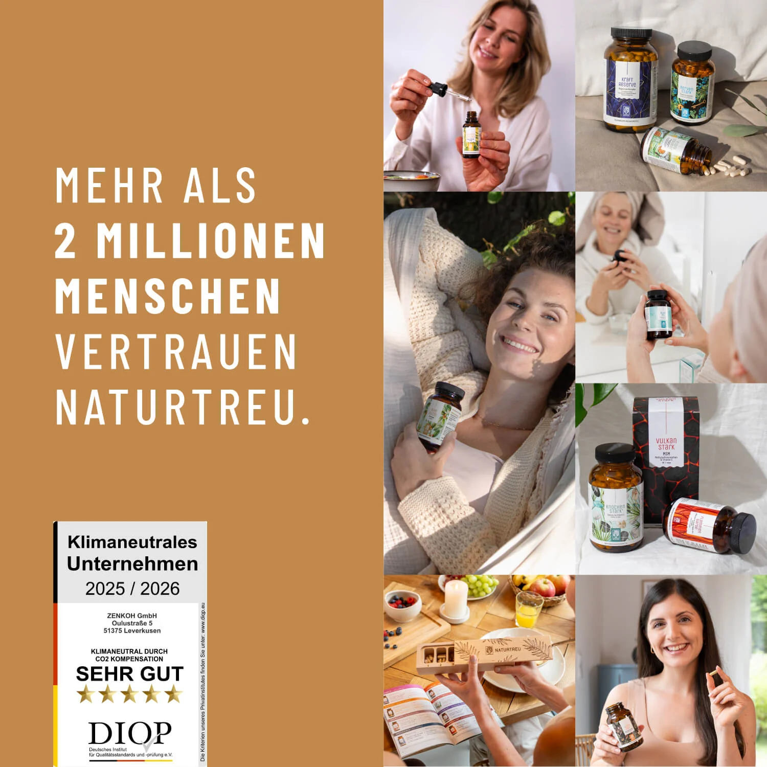 Ruhewurzel: Ashwagandha mit KSM-66® - Image 9