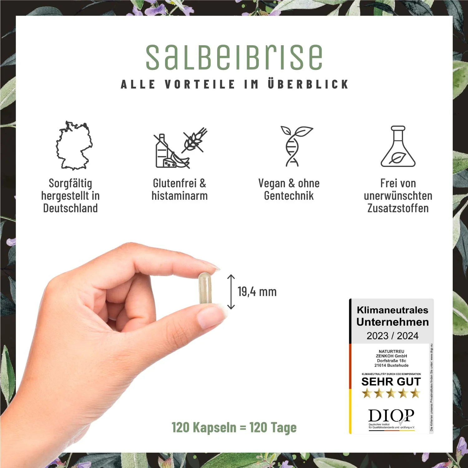 Salbeibrise: Hochdosierter Salbei-Extrakt - Image 7