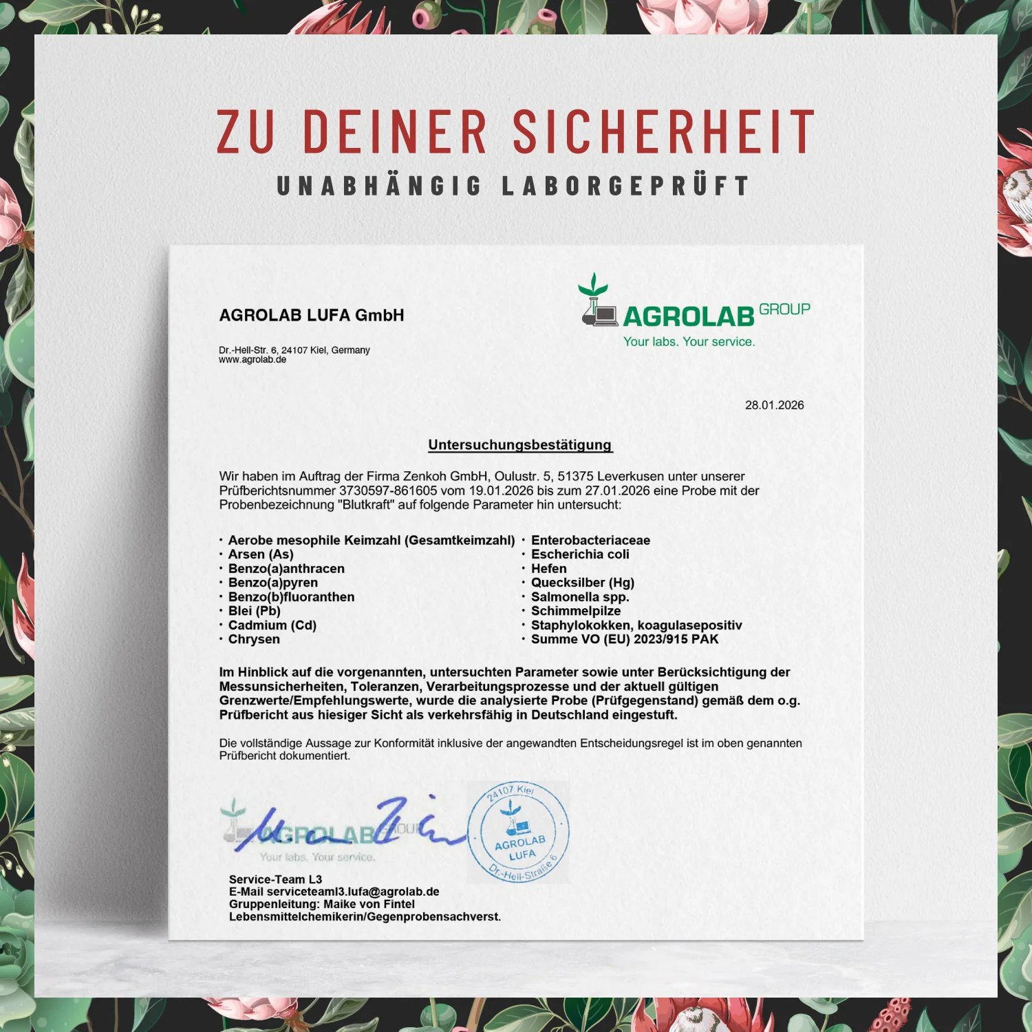 Blutkraft: Eisen-Komplex mit Fenchel & Cofaktoren - Image 8