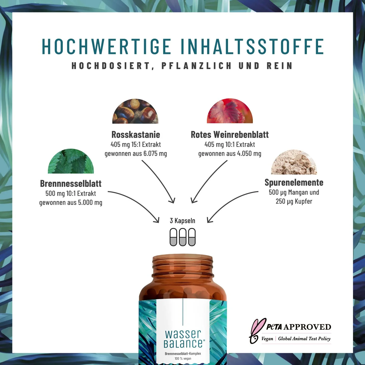 Sommerleicht Paket: Brennnesselblatt- und Metabolismus-Komplex - Image 3