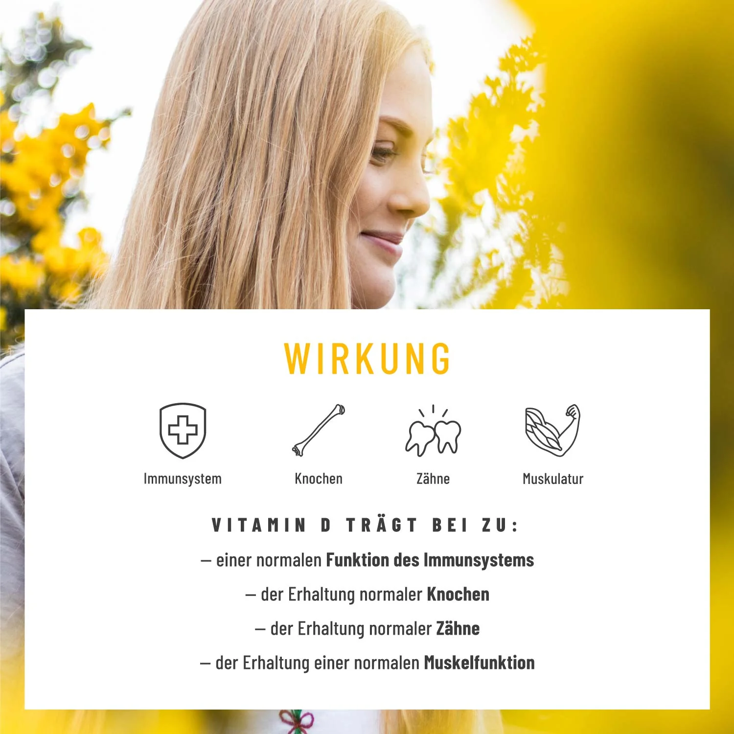 Sonnenfreund Small: Vitamin D3 & K2 Tropfen für Erwachsene (1.000 I.E.) - Image 4