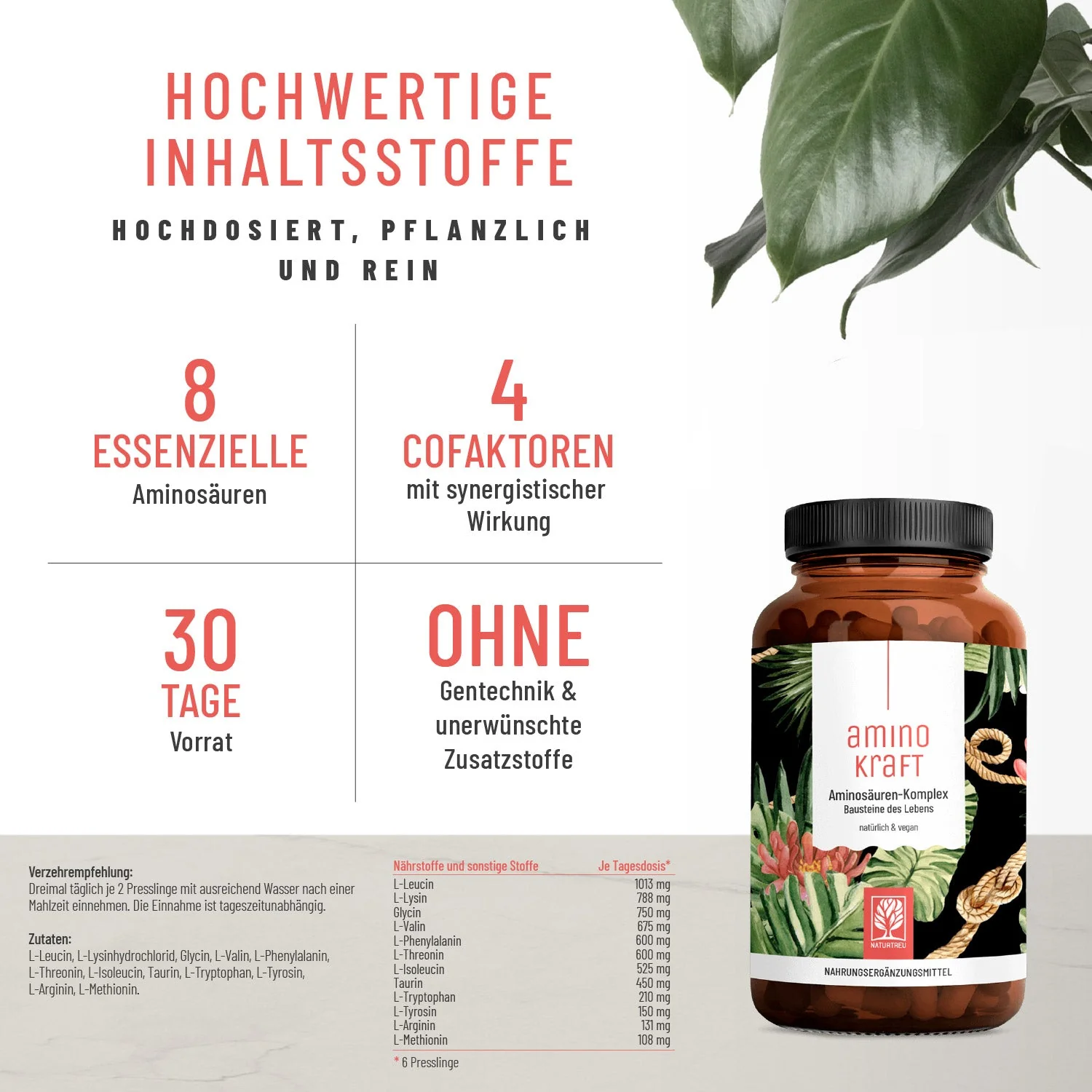 Sport-Paket: Kraftreserve & Aminokraft - Image 3