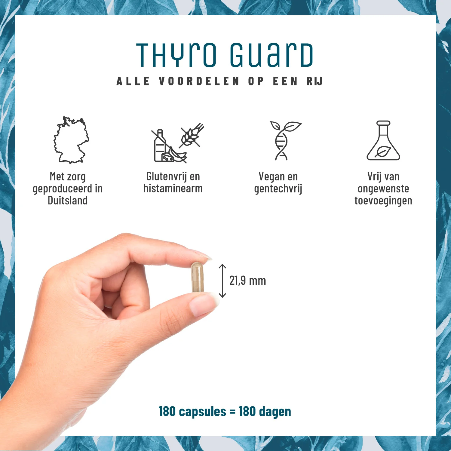 Thyro Guard: Kelp-complex bevat jodium, selenium & tijm - Image 5