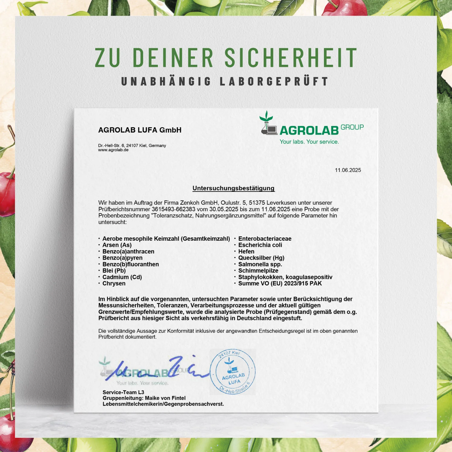Toleranzschatz: HIT Diaminoxidase (DAO) Komplex - Image 11