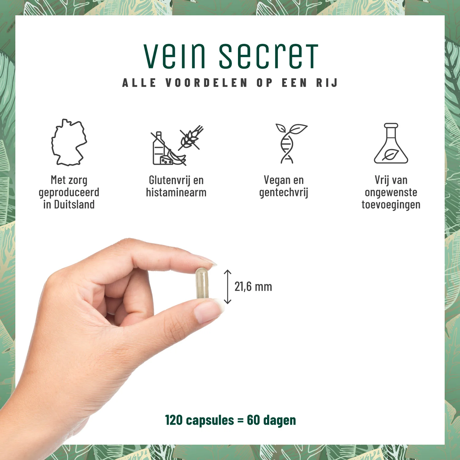 Vein Secret: Rutine en honingklavercomplex - Image 5