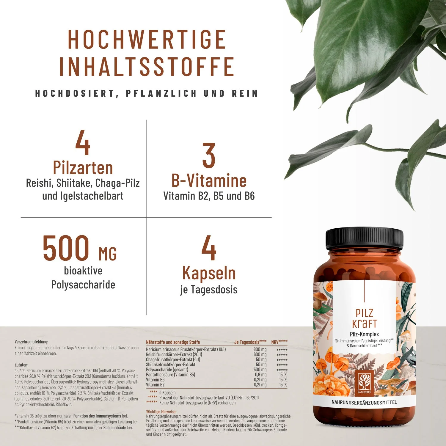 Flora Balance-Paket: Florasamen, Florazauber & Pilzkraft - Image 2