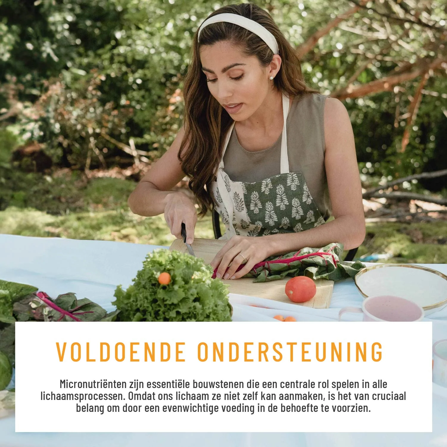 Vitamin Routine: Multivitaminecomplex met geselecteerde vitamines, plantaardige stoffen en mineralen - Image 6
