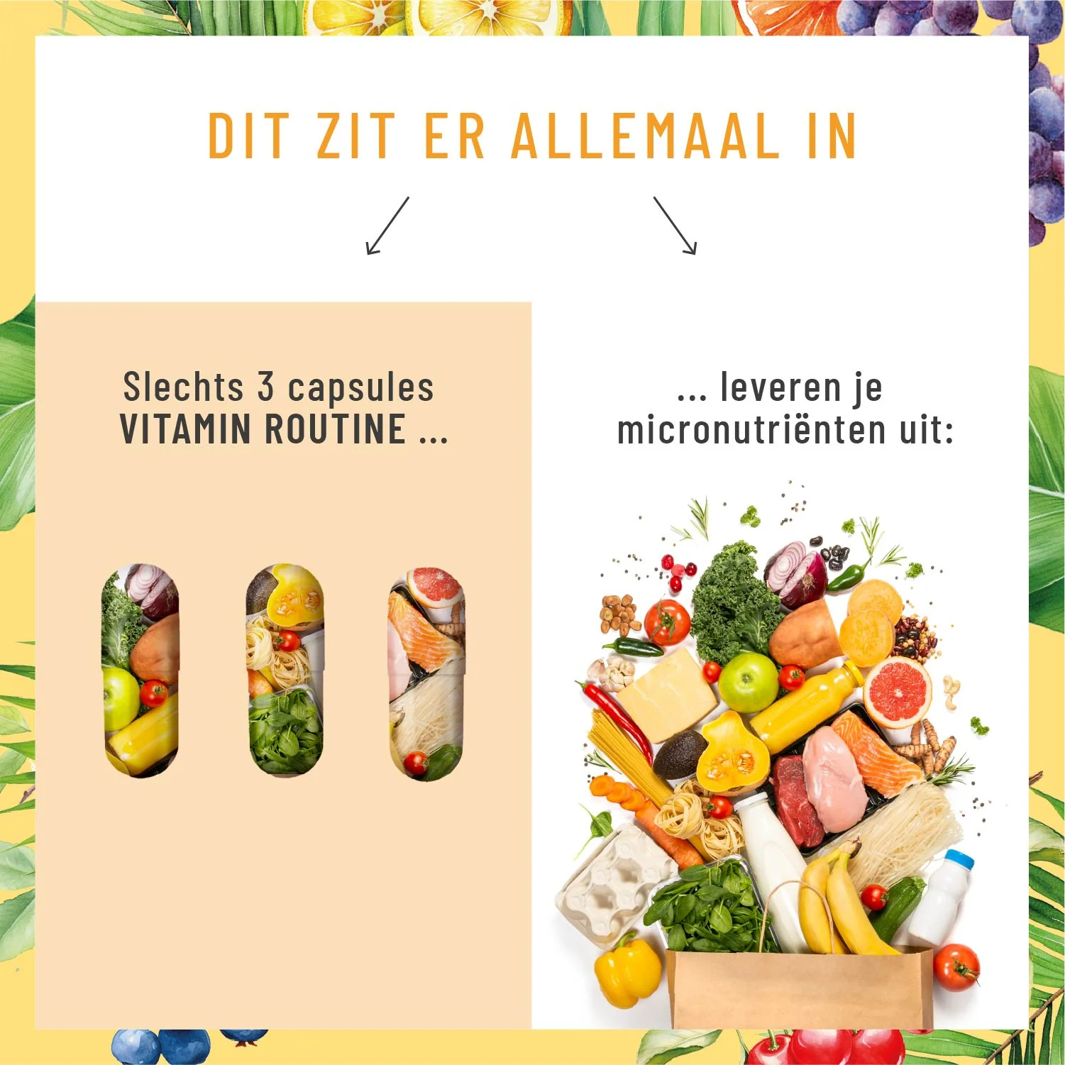 Vitamin Routine: Multivitaminecomplex met geselecteerde vitamines, plantaardige stoffen en mineralen - Image 7