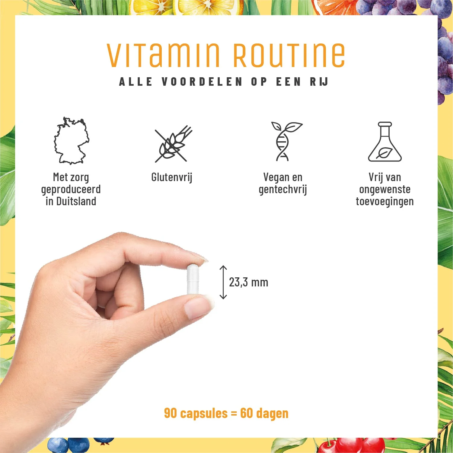 Vitamin Routine: Multivitaminecomplex met geselecteerde vitamines, plantaardige stoffen en mineralen - Image 8