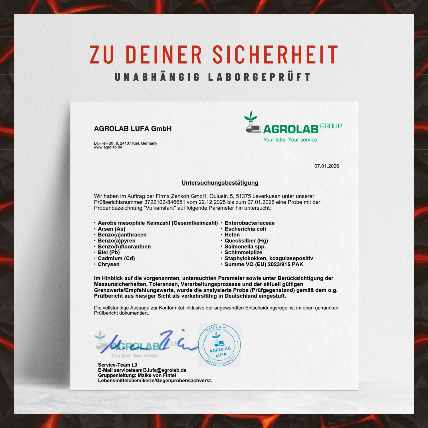 Vulkanstark: MSM-Komplex mit Vitamin C - Image 9