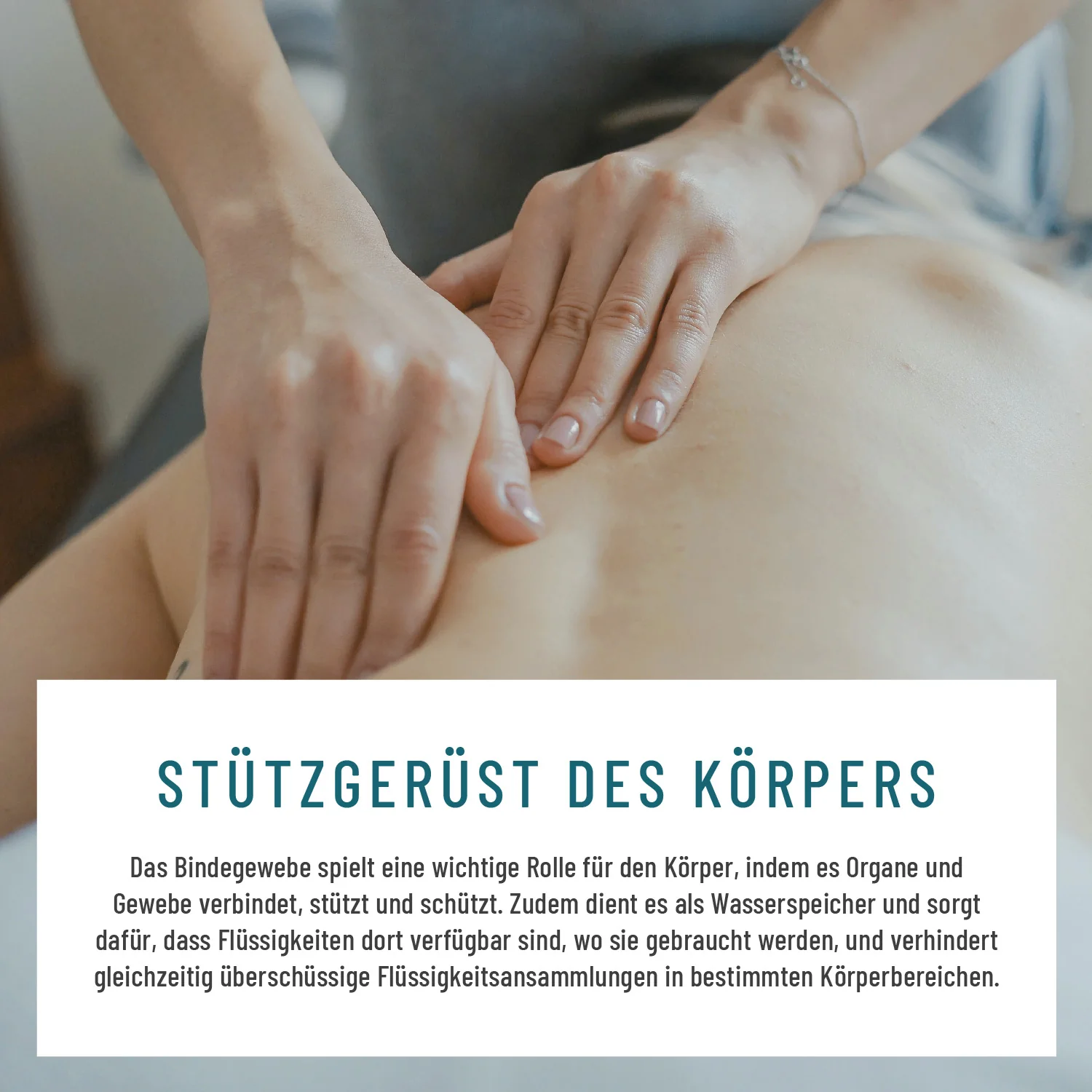 Wasserbalance: Brennnesselblatt-Komplex - Image 6