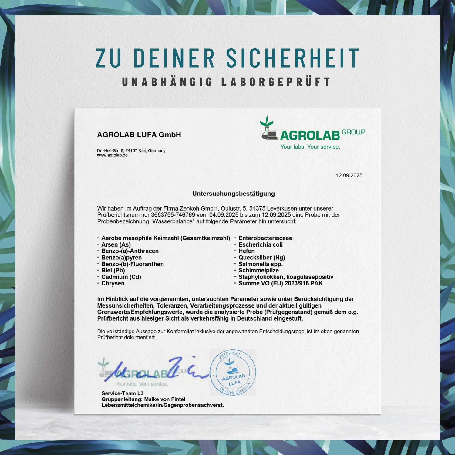 Wasserbalance: Brennnesselblatt-Komplex - Image 8