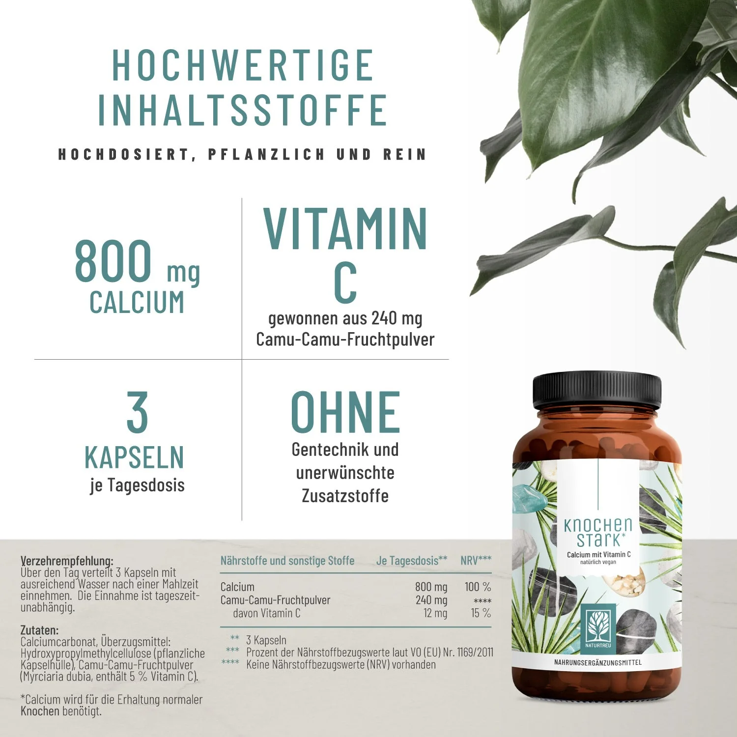Wechselwohl Paket: Komplex mit Yamswurzel & Rotklee, Calcium mit Vitamin C & Coenzym Q10 - Image 3