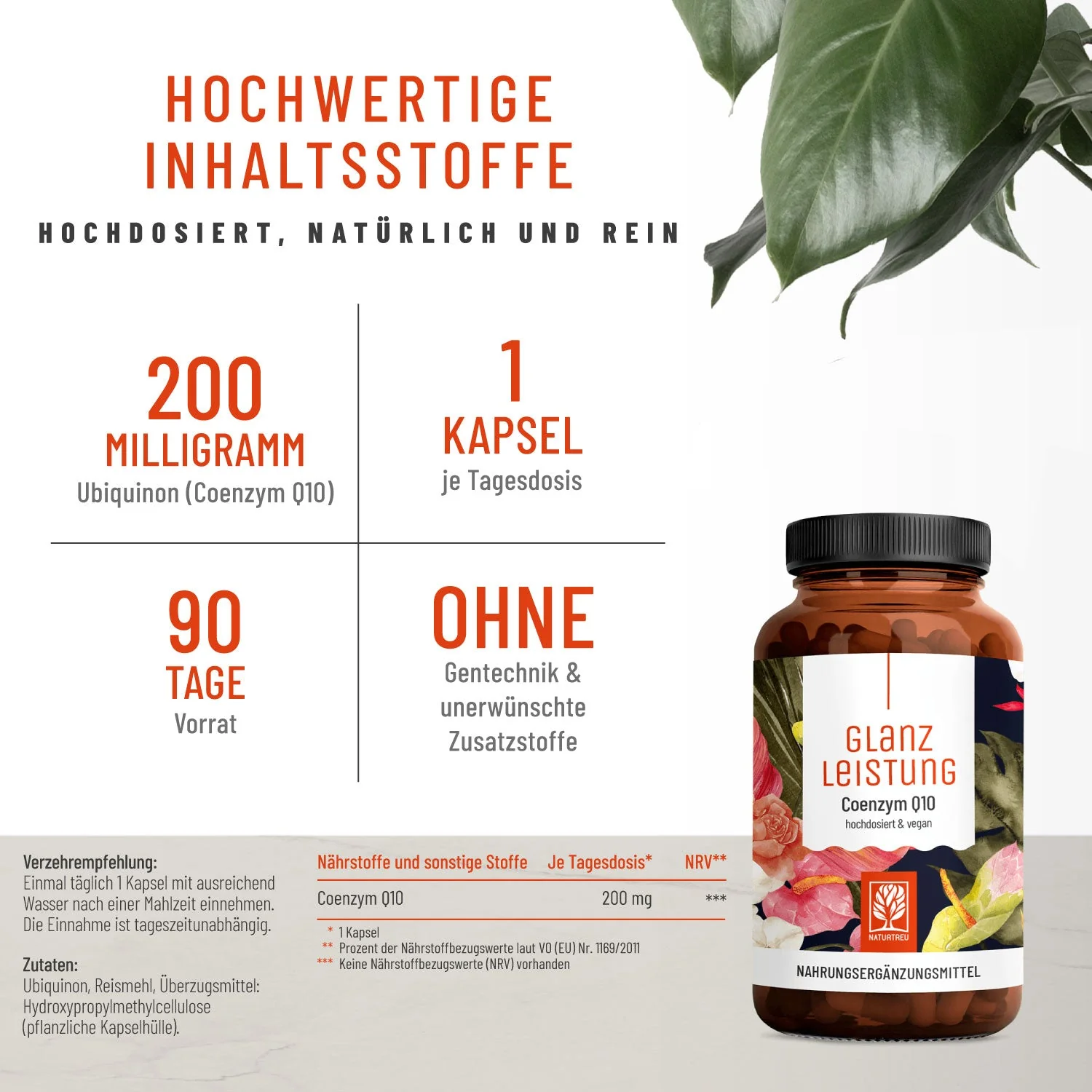 Wechselwohl Paket: Komplex mit Yamswurzel & Rotklee, Calcium mit Vitamin C & Coenzym Q10 - Image 4