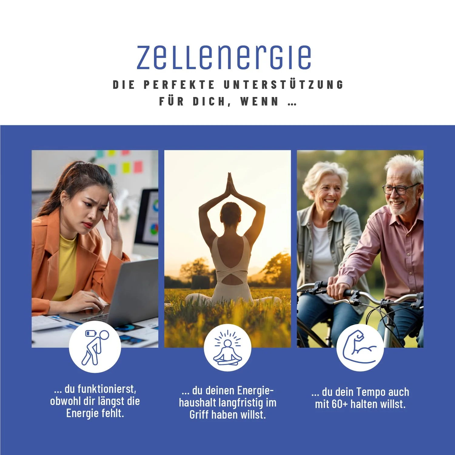 Zellenergie: NR-Komplex mit Trans-Resveratrol und Coenzym Q10 - Image 6