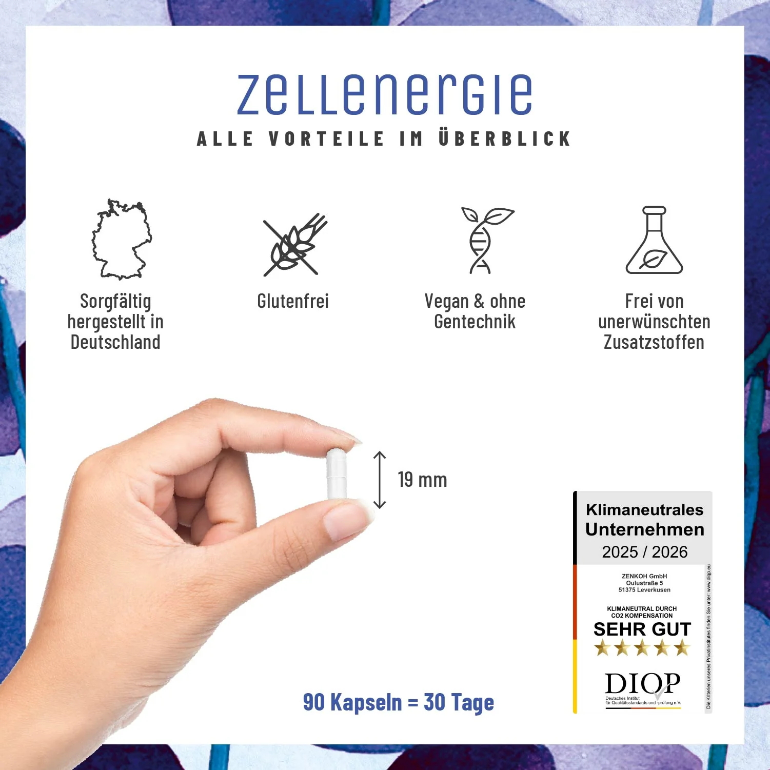 Zellenergie: NR-Komplex mit Trans-Resveratrol und Coenzym Q10 - Image 7